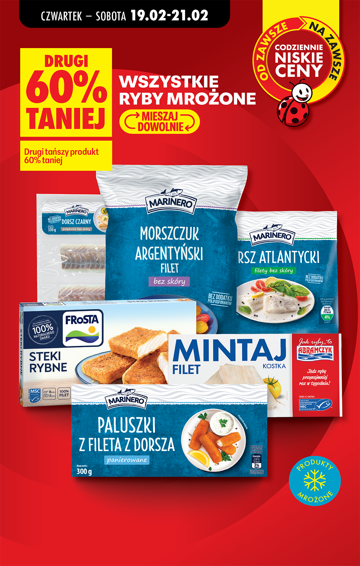 biedronka - Gazetka Biedronka - Tani weekend - ważna od 20.02.2026 do 21.02.2026 - page: 13