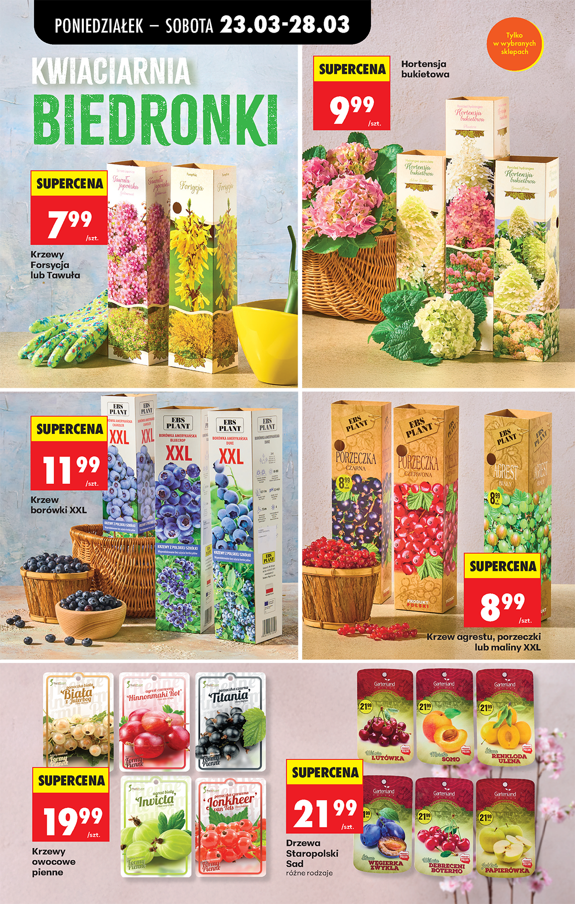 biedronka - Gazetka Biedronka - ważna od 23.03.2026 do 28.03.2026 - page: 14