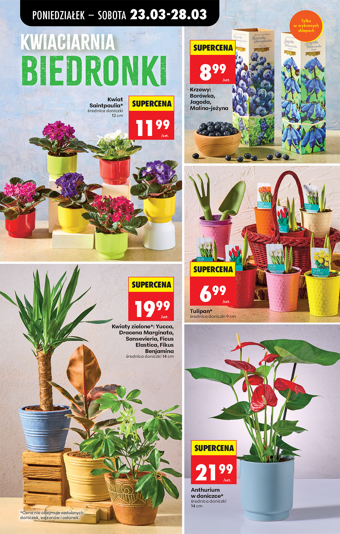 biedronka - Gazetka Biedronka - ważna od 23.03.2026 do 28.03.2026 - page: 15