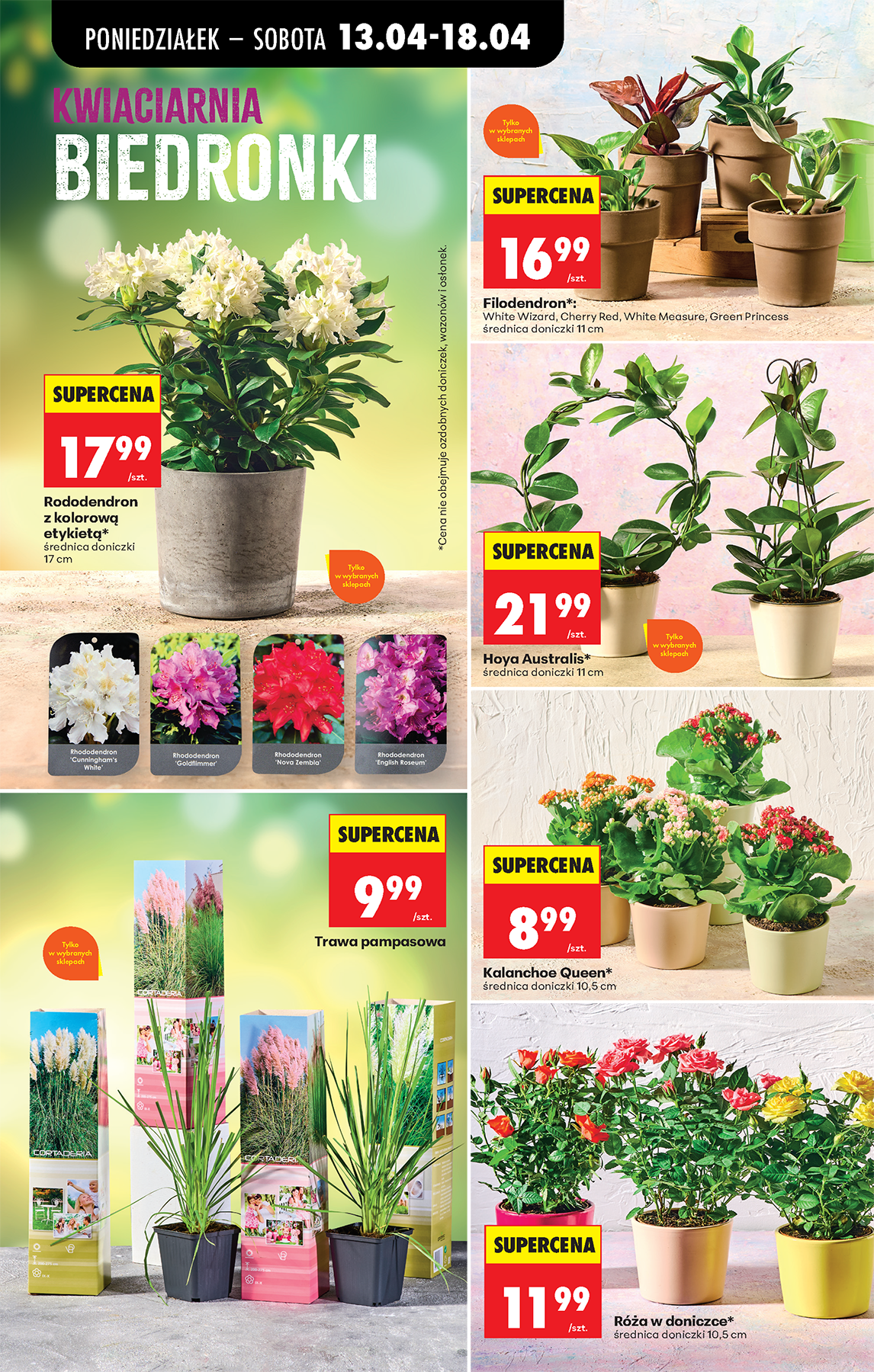 biedronka - Nowa gazetka Biedronka ważna od 13.04.2026 do 18.04.2026 - page: 83