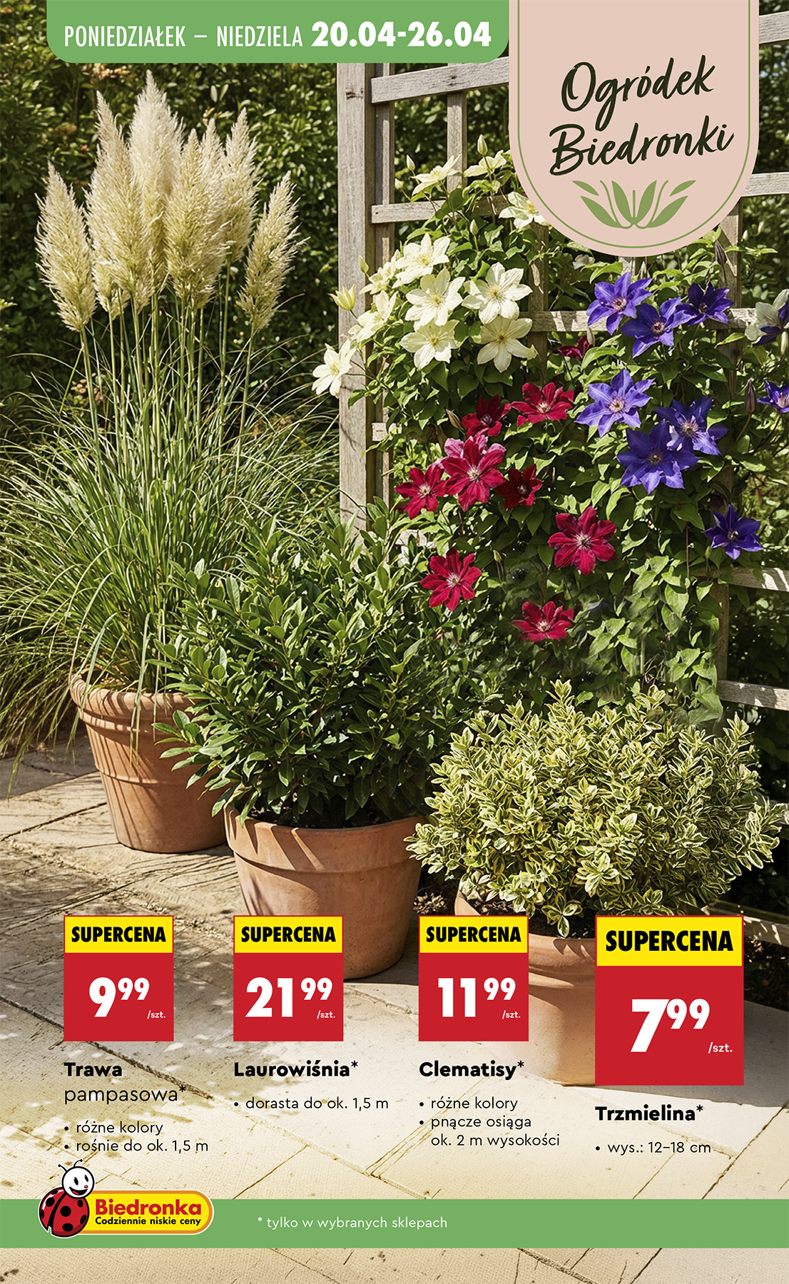 biedronka - Nowa gazetka Biedronka - Hity i inspiracje ważna od 20.04.2026 do 06.05.2026 - page: 5