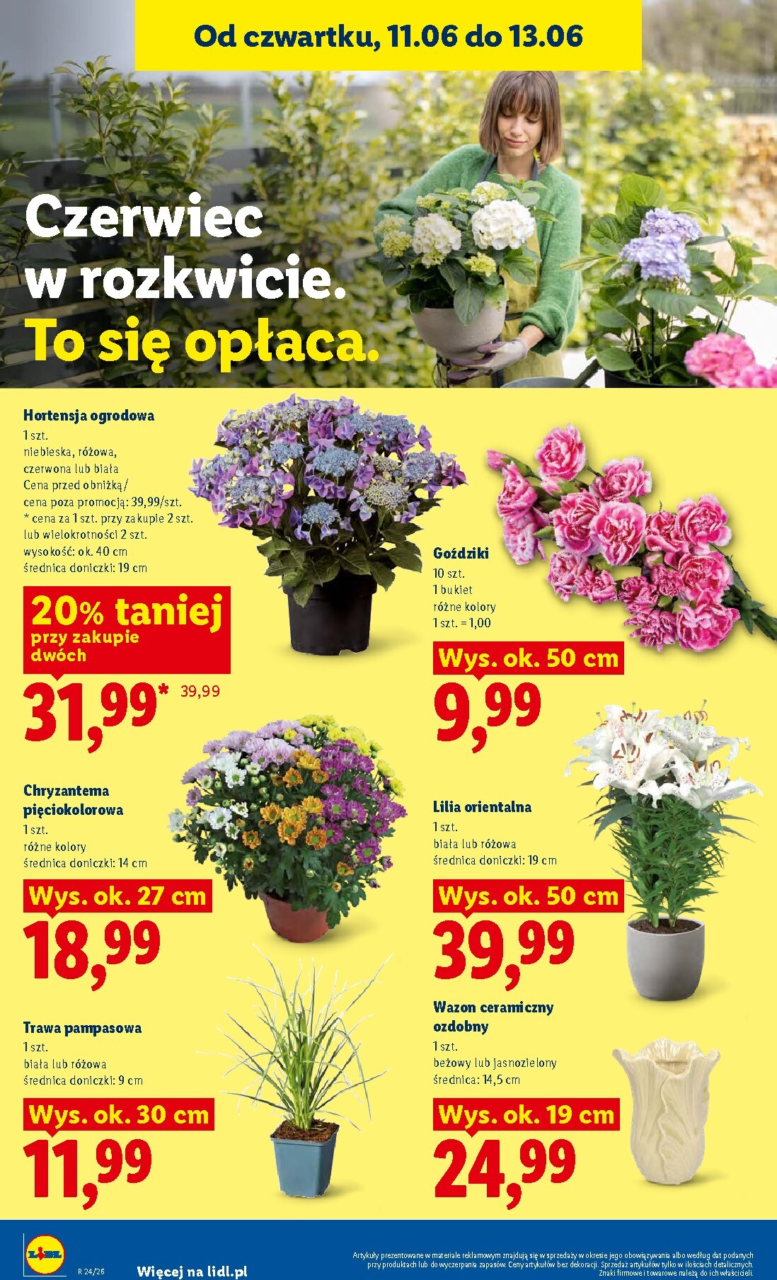 lidl - Aktualna gazetka Lidl - Gazetka ważna od 11.06 do 13.06 ważna od 11.06.2026 do 13.06.2026 - page: 94