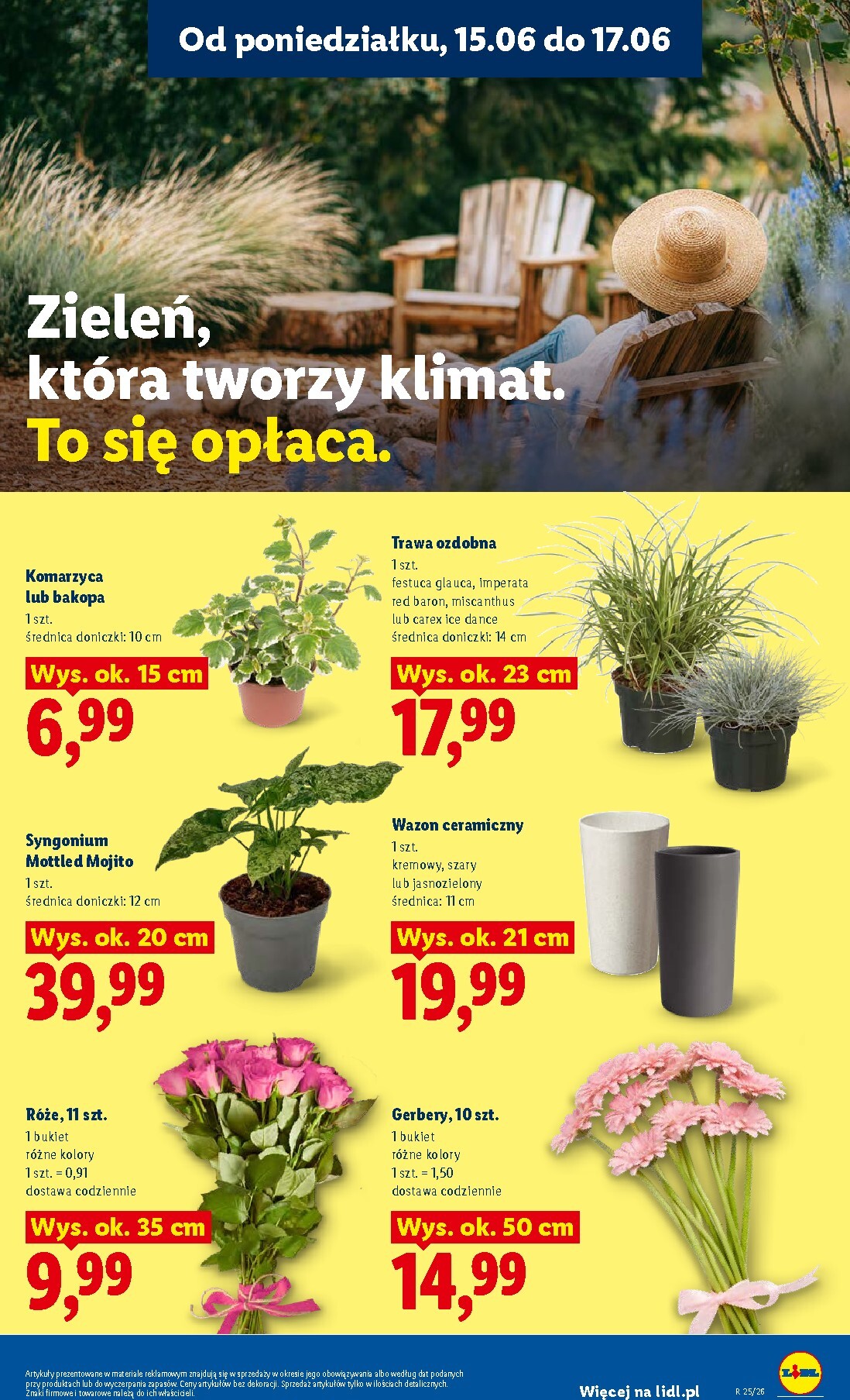 lidl - Nowa gazetka Lidl - Gazetka ważna od 15.06 do 17.06 ważna od 15.06.2026 do 17.06.2026 - page: 97