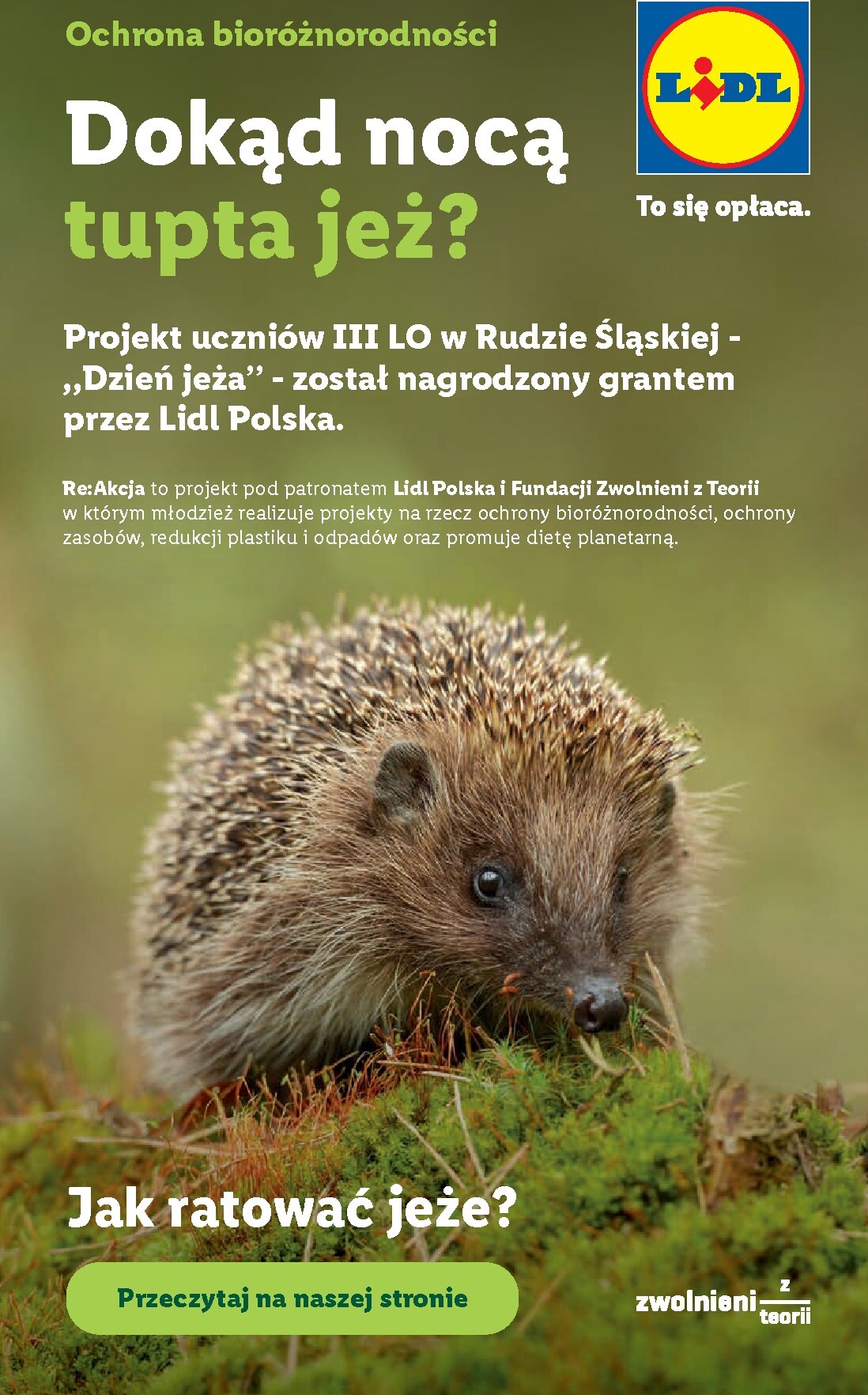 lidl - Aktualna gazetka Lidl ważna od 18.06.2026 do 20.06.2026 - page: 91