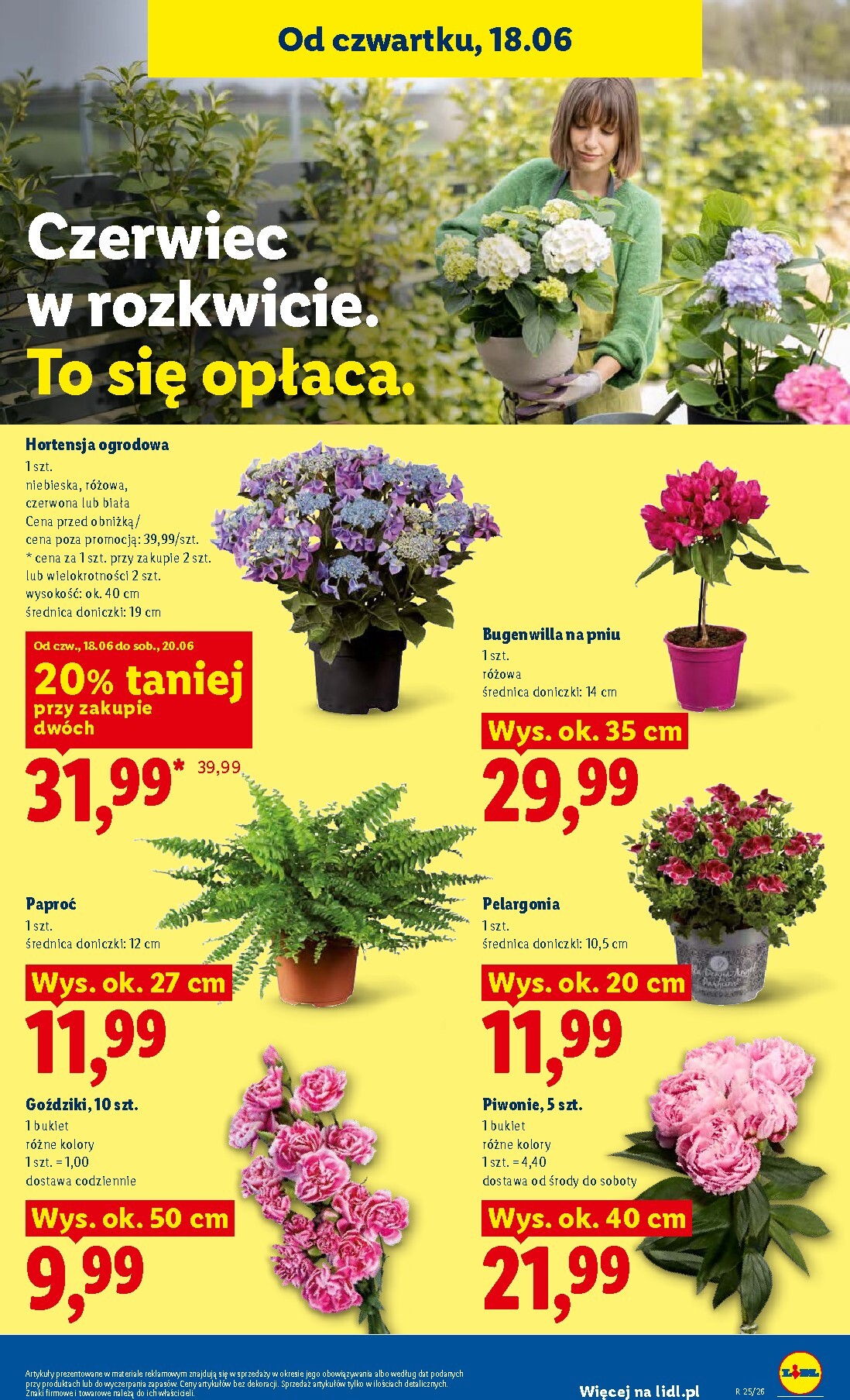 lidl - Aktualna gazetka Lidl ważna od 18.06.2026 do 20.06.2026 - page: 81