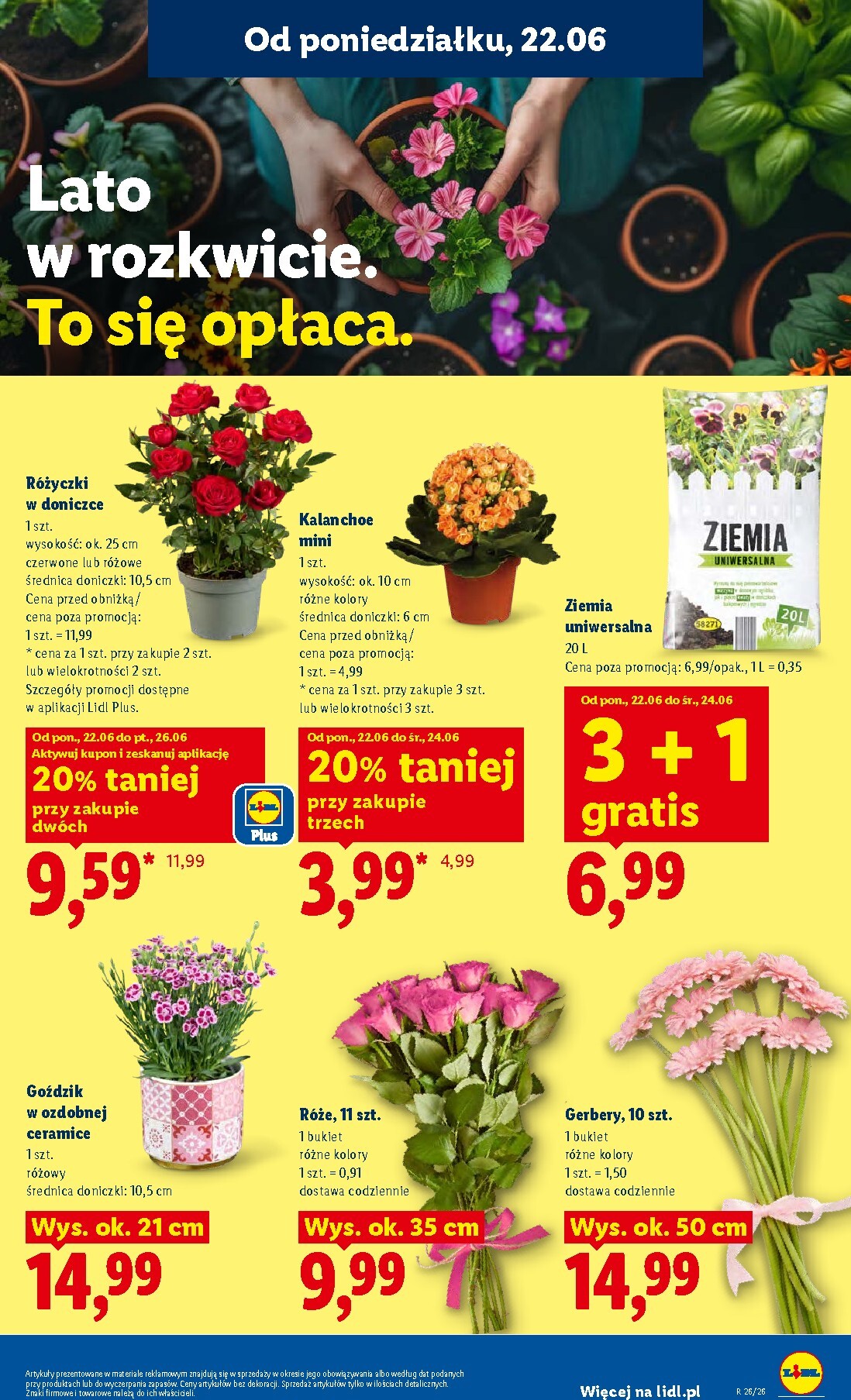 lidl - Aktualna gazetka Lidl ważna od 22.06.2026 do 24.06.2026 - page: 87