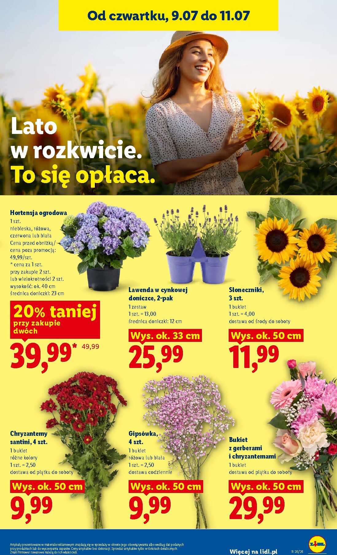 lidl - Nowa gazetka Lidl - Gazetka ważna od 9.07 do 11.07 ważna od 09.07.2026 do 11.07.2026 - page: 85