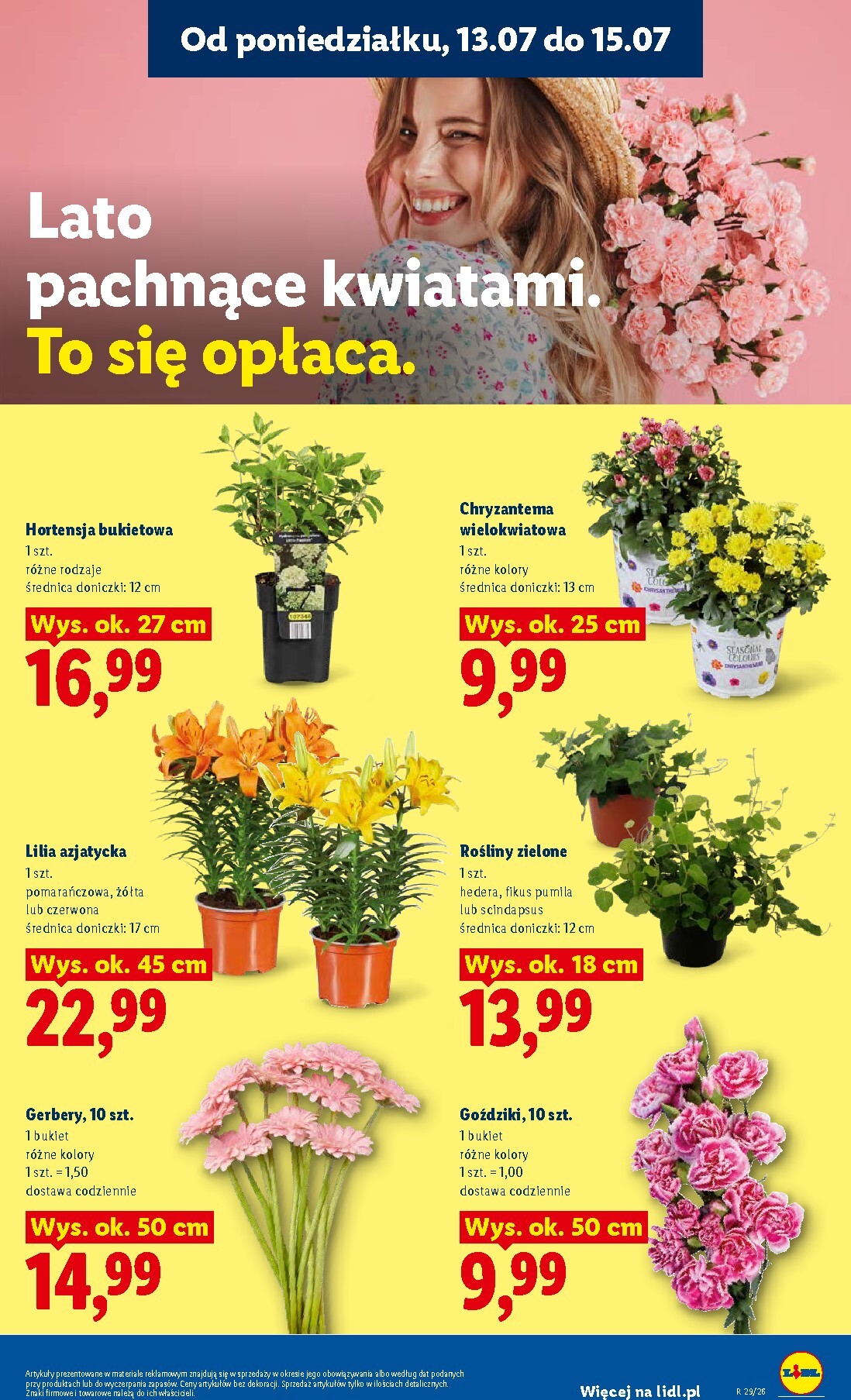 lidl - Nowa gazetka Lidl - Gazetka ważna od 13.07 do 15.07 ważna od 13.07.2026 do 15.07.2026 - page: 87