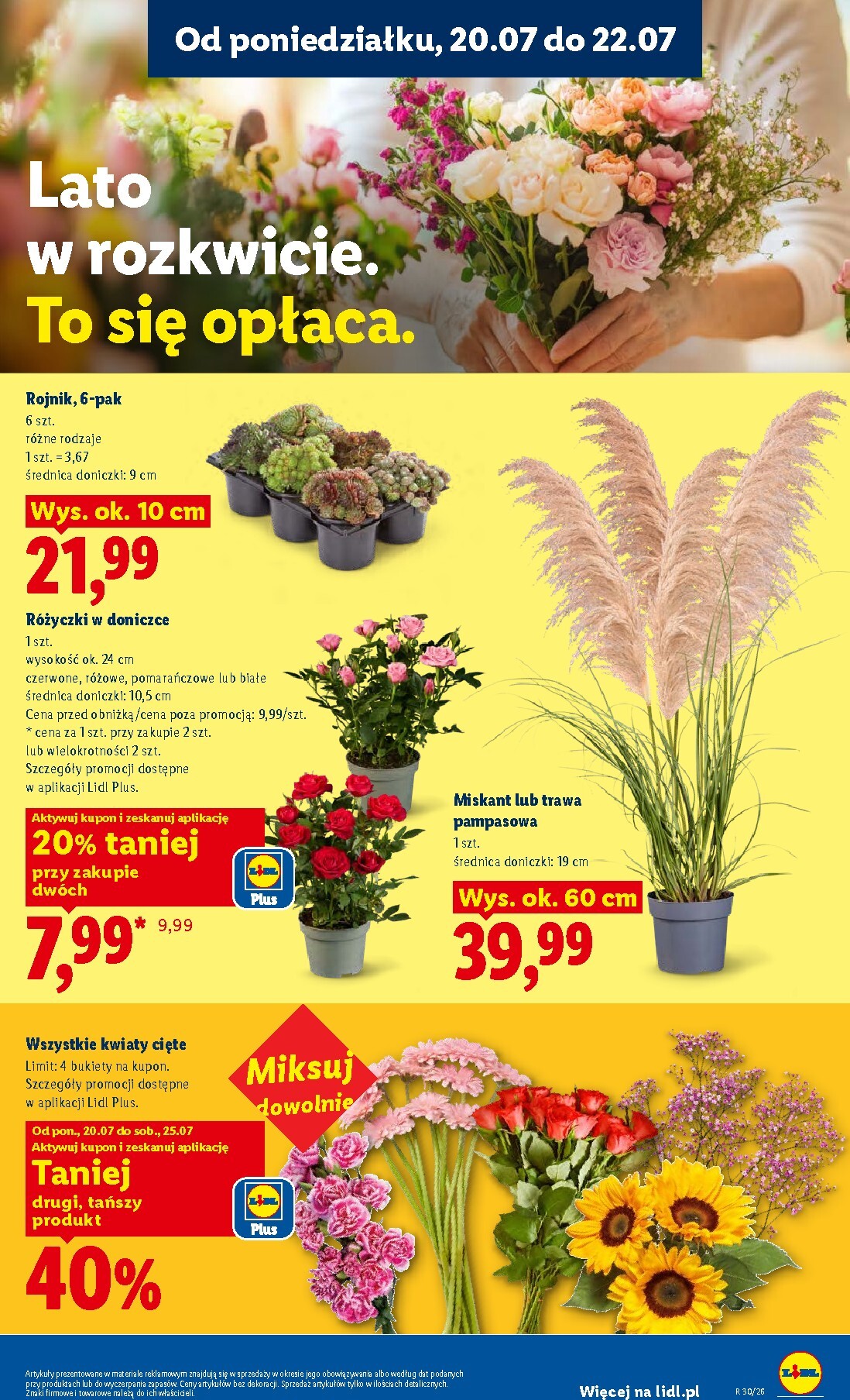 lidl - Aktualna gazetka Lidl - Gazetka ważna od 20.07 do 22.07 ważna od 20.07.2026 do 22.07.2026 - page: 99