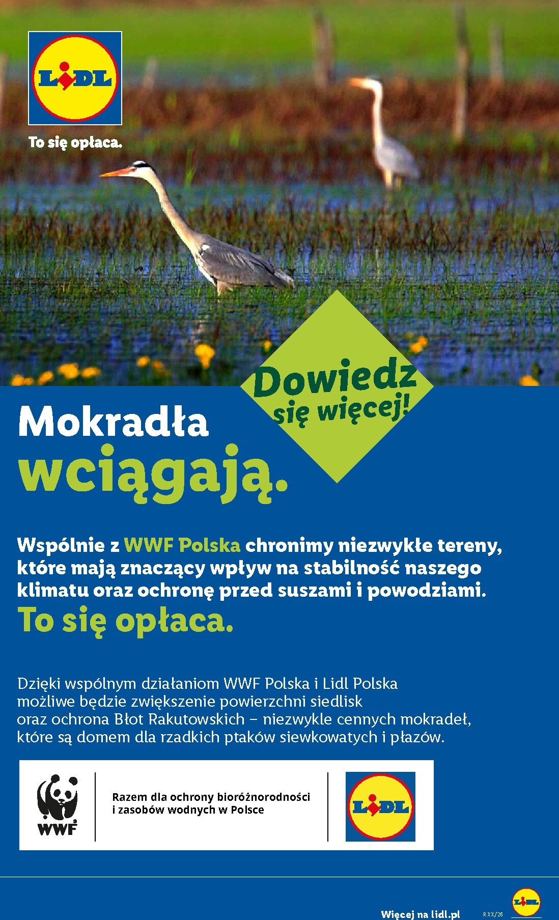 lidl - Nowa gazetka Lidl ważna od 30.07.2026 do 01.08.2026 - page: 96