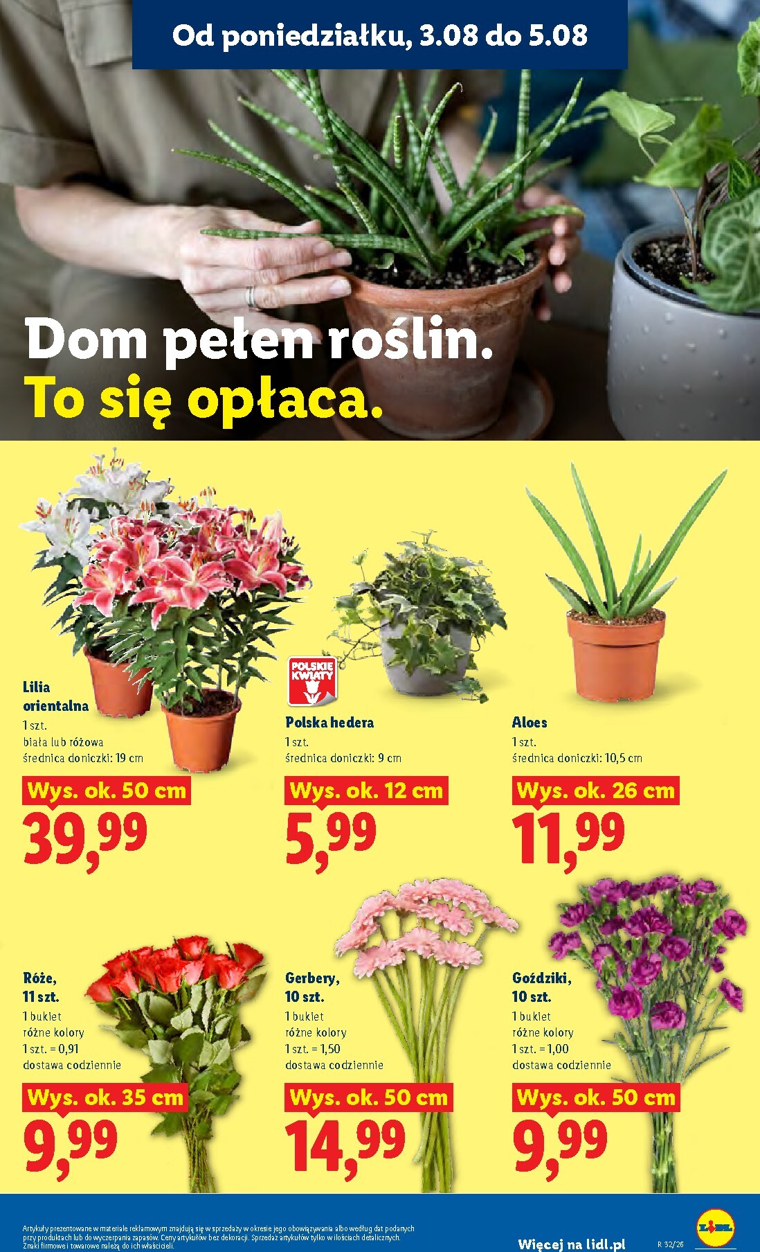 lidl - Aktualna gazetka Lidl ważna od 03.08.2026 do 05.08.2026 - page: 91