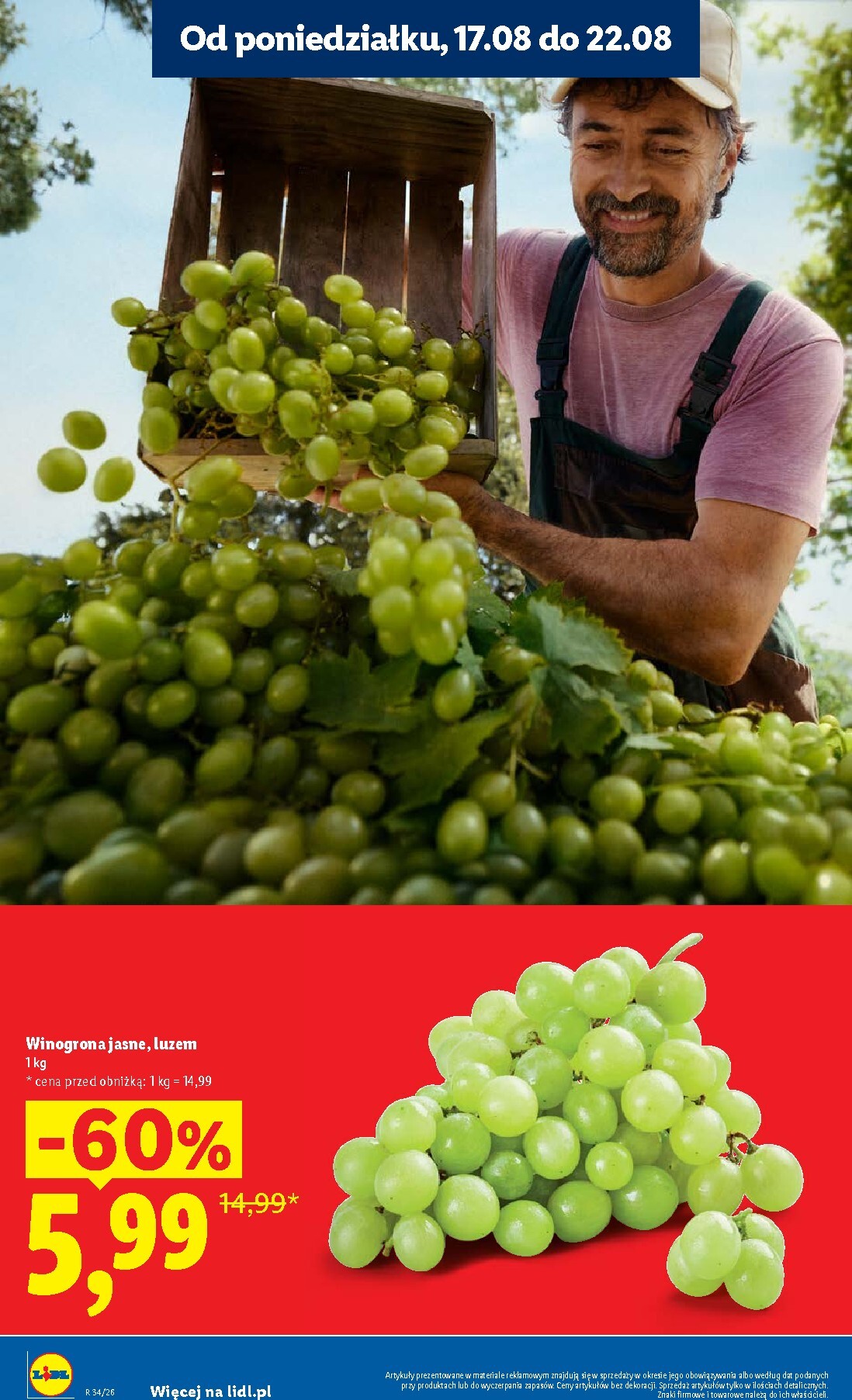 lidl - Nowa gazetka Lidl ważna od 20.08.2026 do 22.08.2026 - page: 16