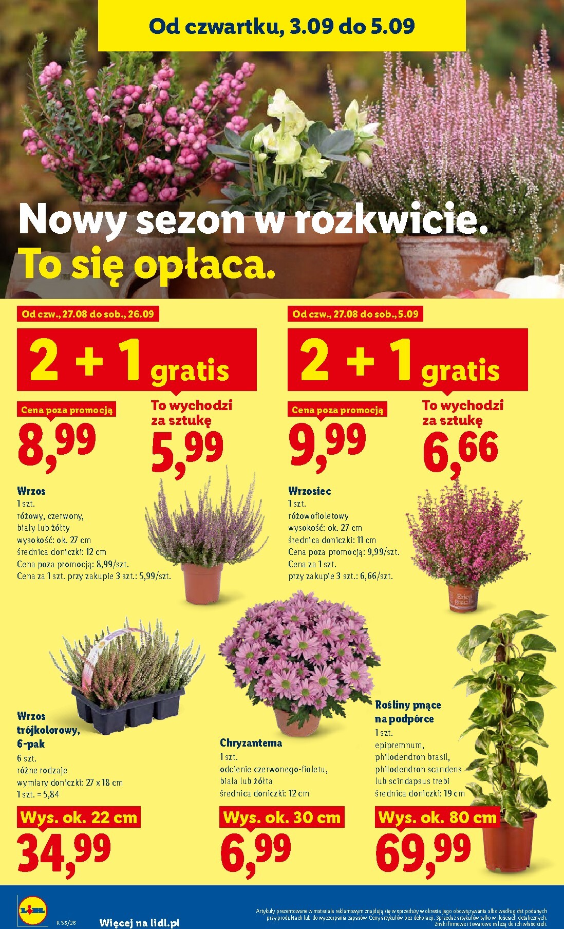 lidl - Aktualna gazetka Lidl ważna od 03.09.2026 do 05.09.2026 - page: 90