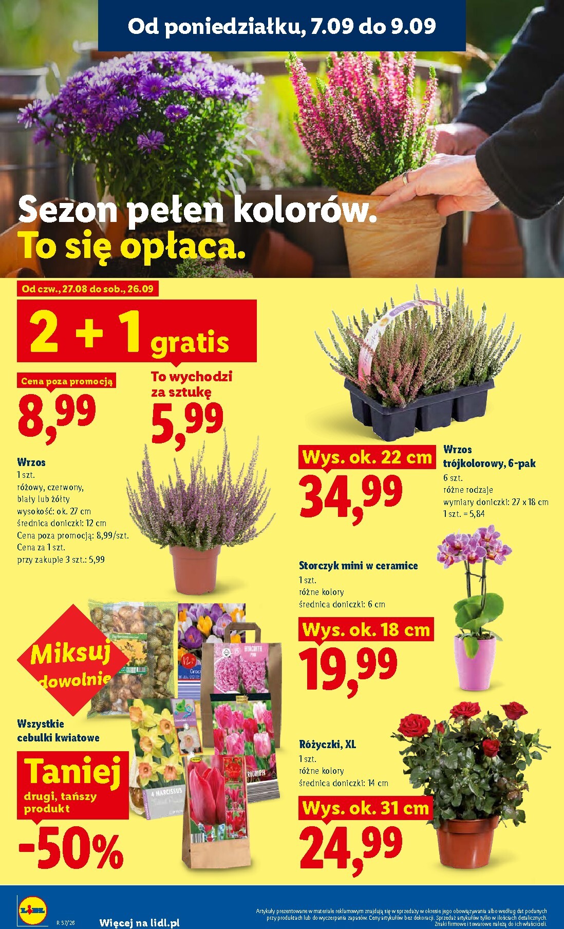 lidl - Nowa gazetka Lidl ważna od 07.09.2026 do 09.09.2026 - page: 82