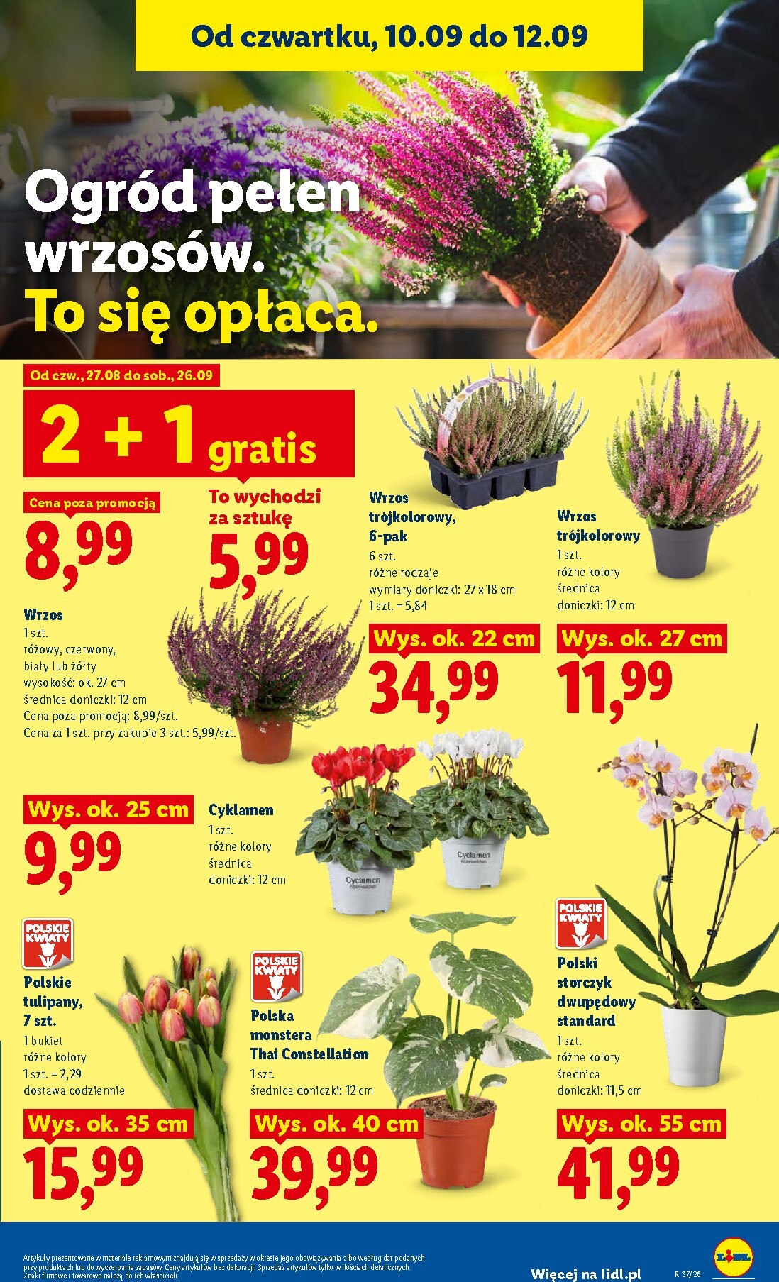 lidl - Nowa gazetka Lidl ważna od 10.09.2026 do 12.09.2026 - page: 83