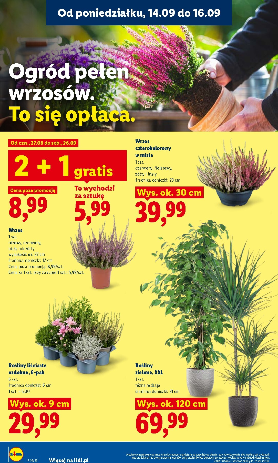 lidl - Nowa gazetka Lidl ważna od 14.09.2026 do 16.09.2026 - page: 78