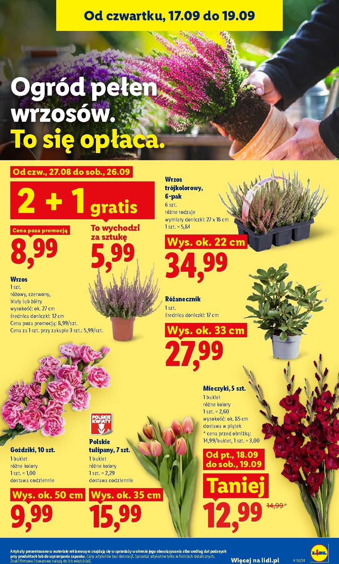 lidl - Aktualna gazetka Lidl ważna od 17.09.2026 do 19.09.2026 - page: 85