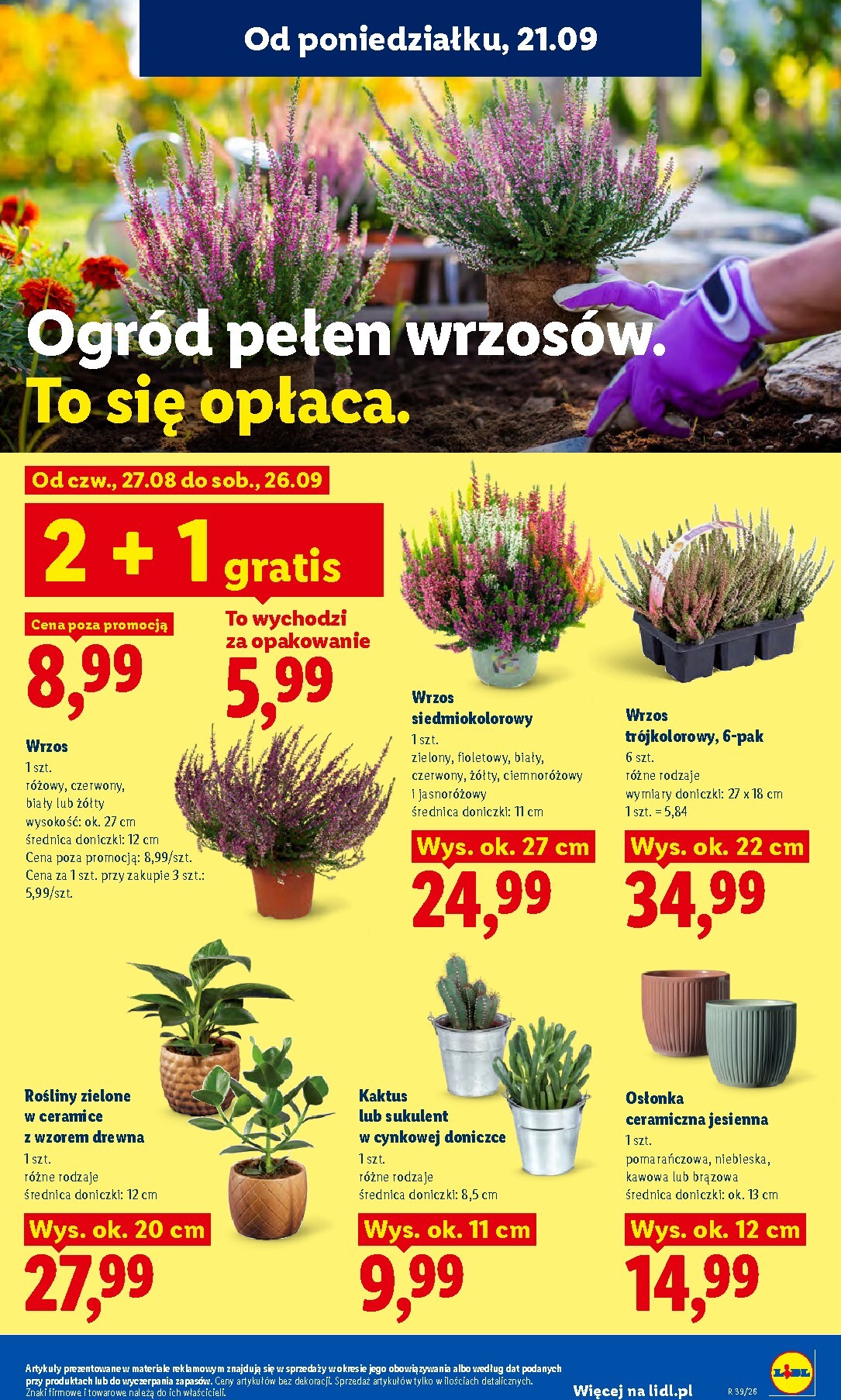 lidl - Aktualna gazetka Lidl ważna od 21.09.2026 do 26.09.2026 - page: 91