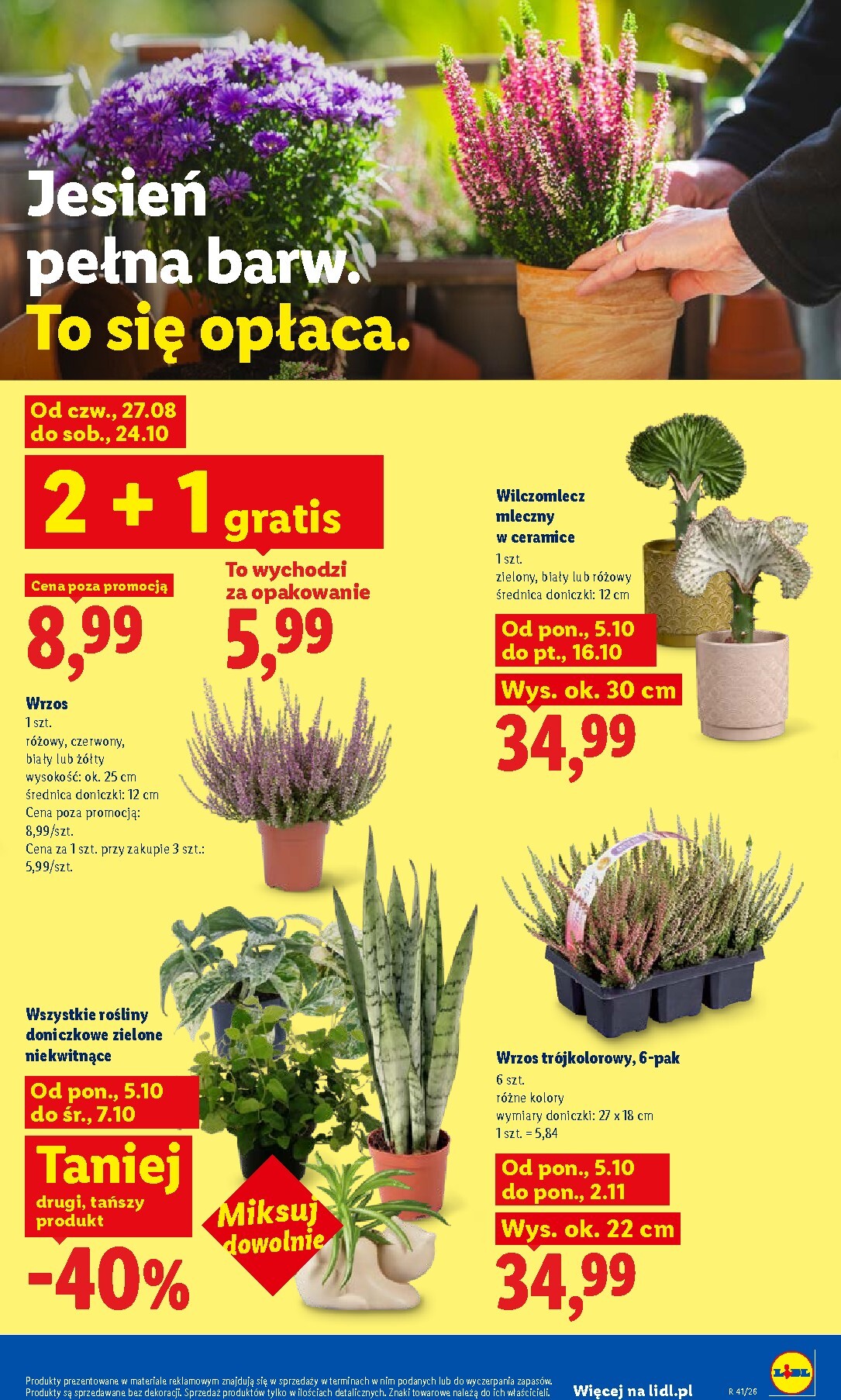 lidl - Aktualna gazetka Lidl ważna od 05.10.2026 do 17.10.2026 - page: 91