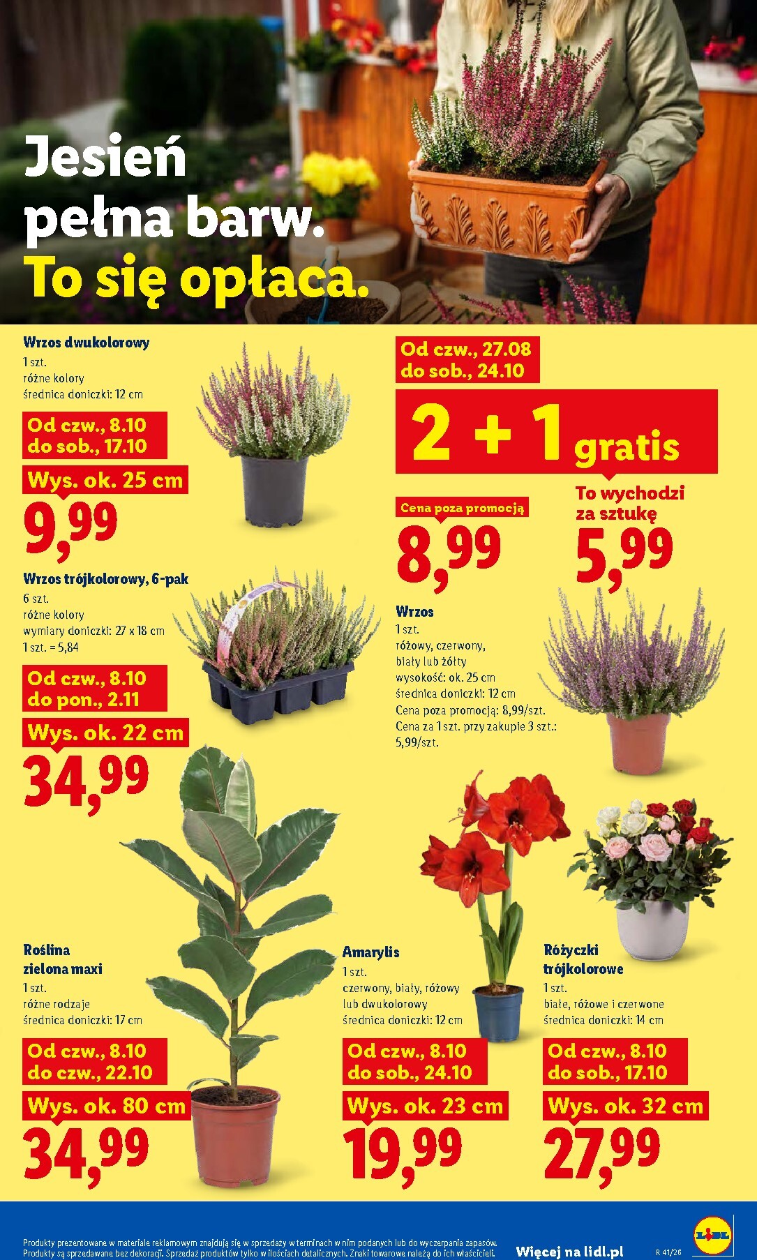 lidl - Aktualna gazetka Lidl ważna od 08.10.2026 do 10.10.2026 - page: 85