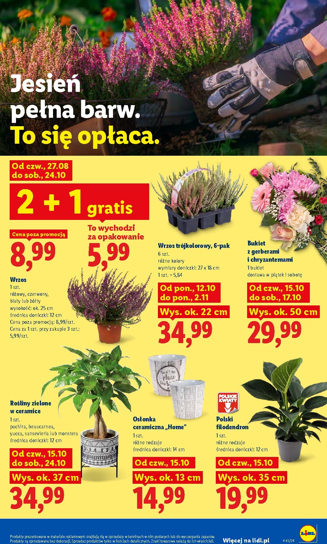 lidl - Aktualna gazetka Lidl ważna od 15.10.2026 do 17.10.2026 - page: 105