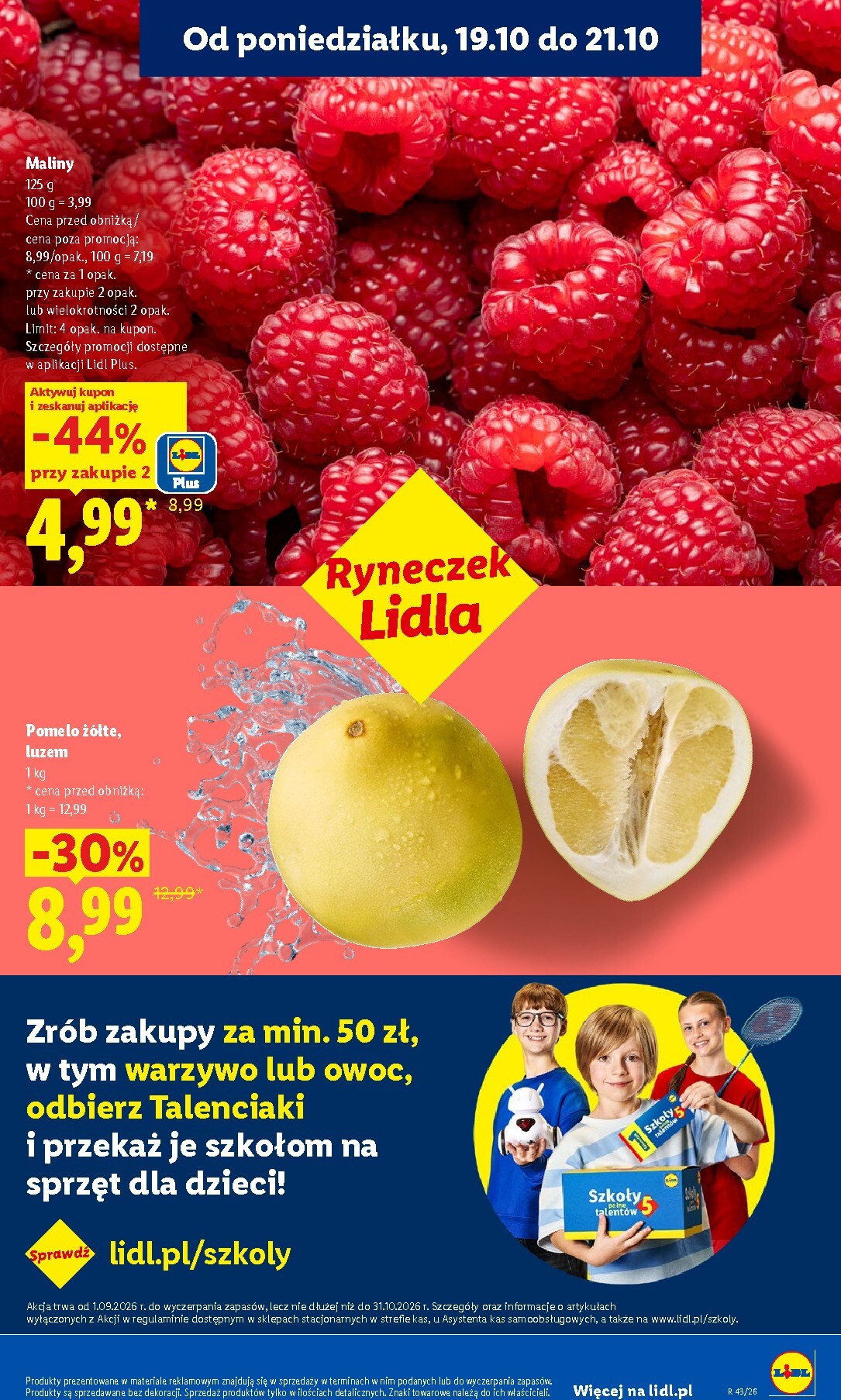 lidl - Nowa gazetka Lidl ważna od 19.10.2026 do 21.10.2026 - page: 41