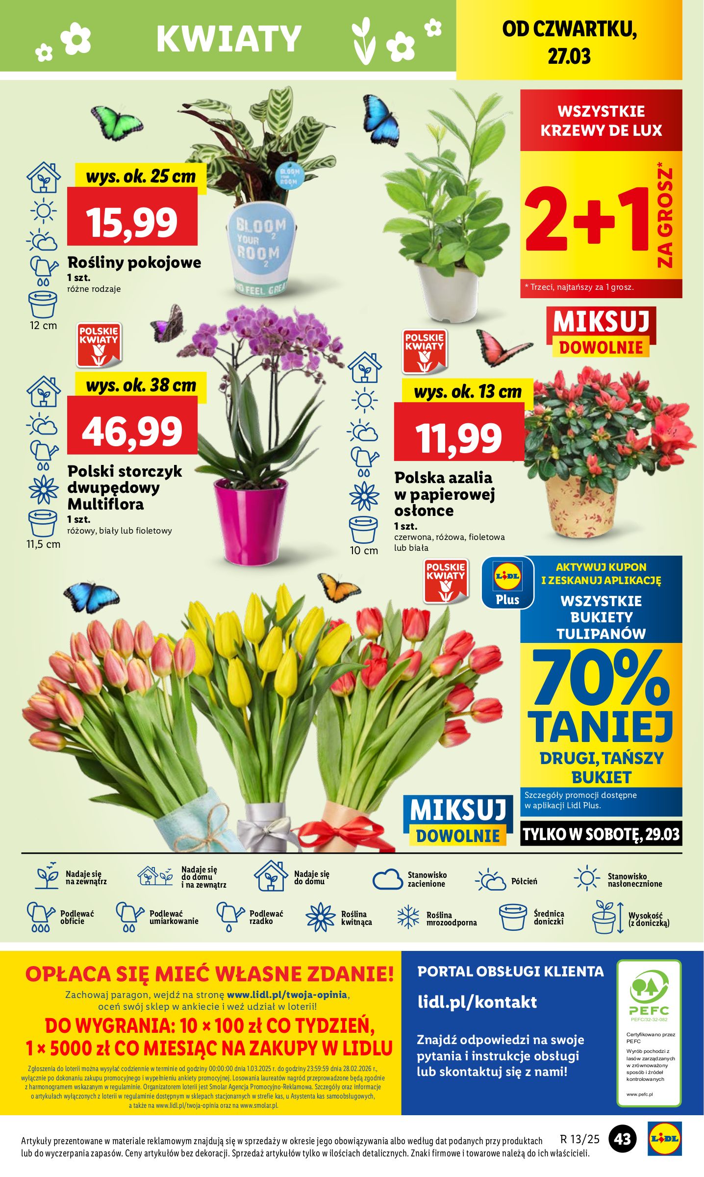 lidl - Lidl gazetka ważna od 27.03. - 29.03. - page: 51 lidl - Lidl gazetka ważna od 27.03. - 29.03. - page: 51
