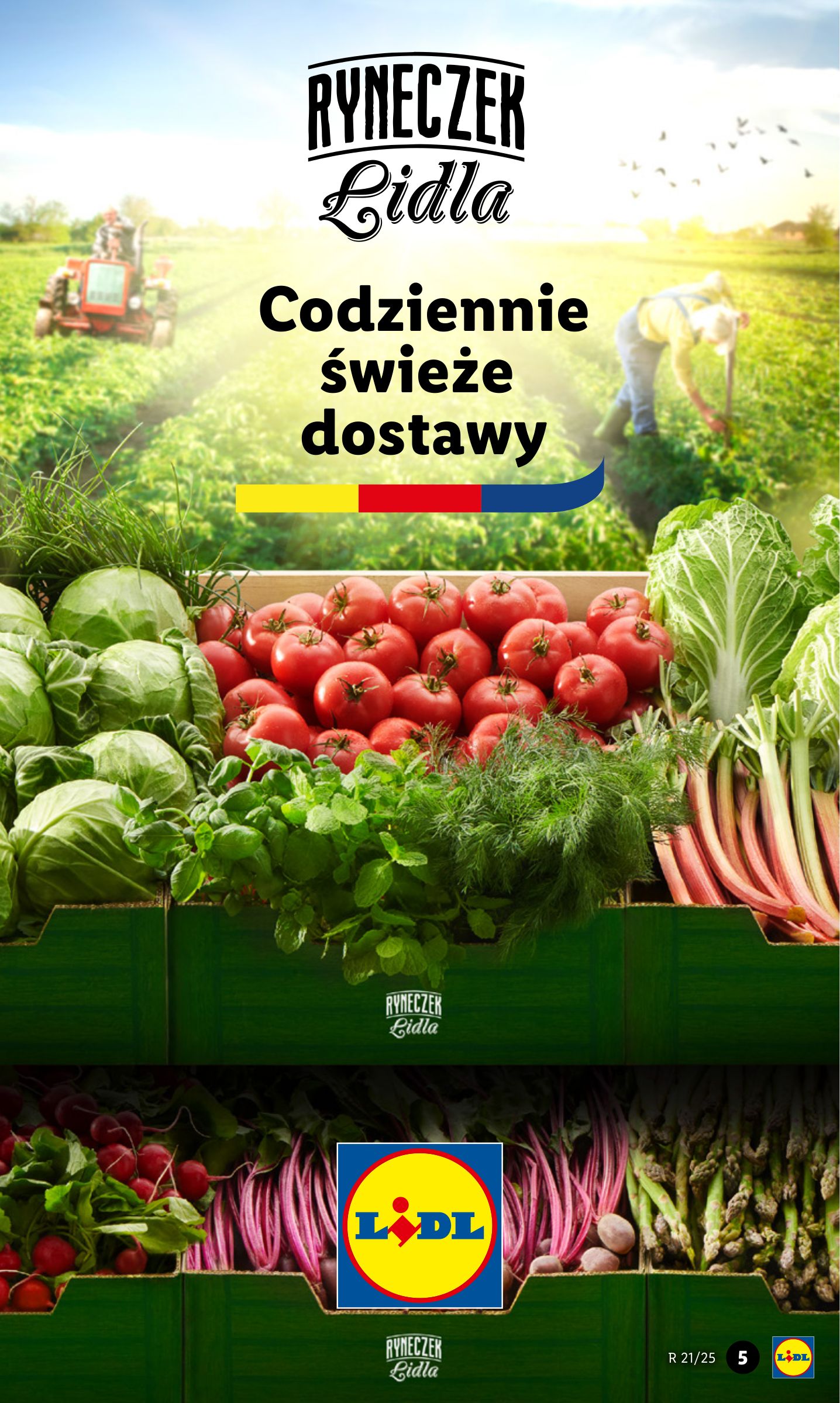 lidl - Lidl gazetka ważna od 19.05. - 21.05. - page: 5 lidl - Lidl gazetka ważna od 19.05. - 21.05. - page: 5