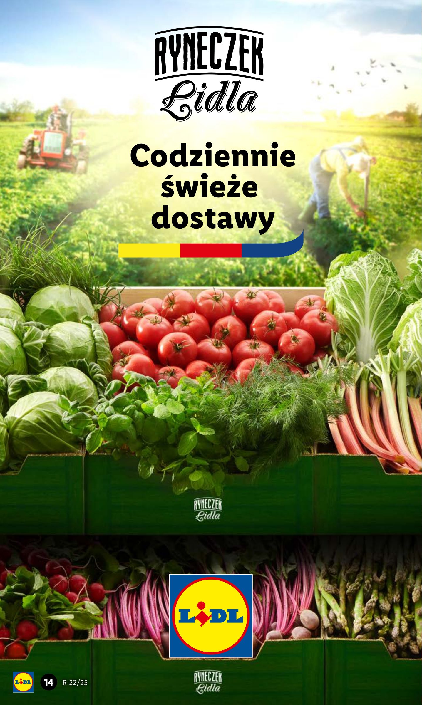 lidl - Lidl gazetka ważna od 29.05. - 31.05. - page: 18