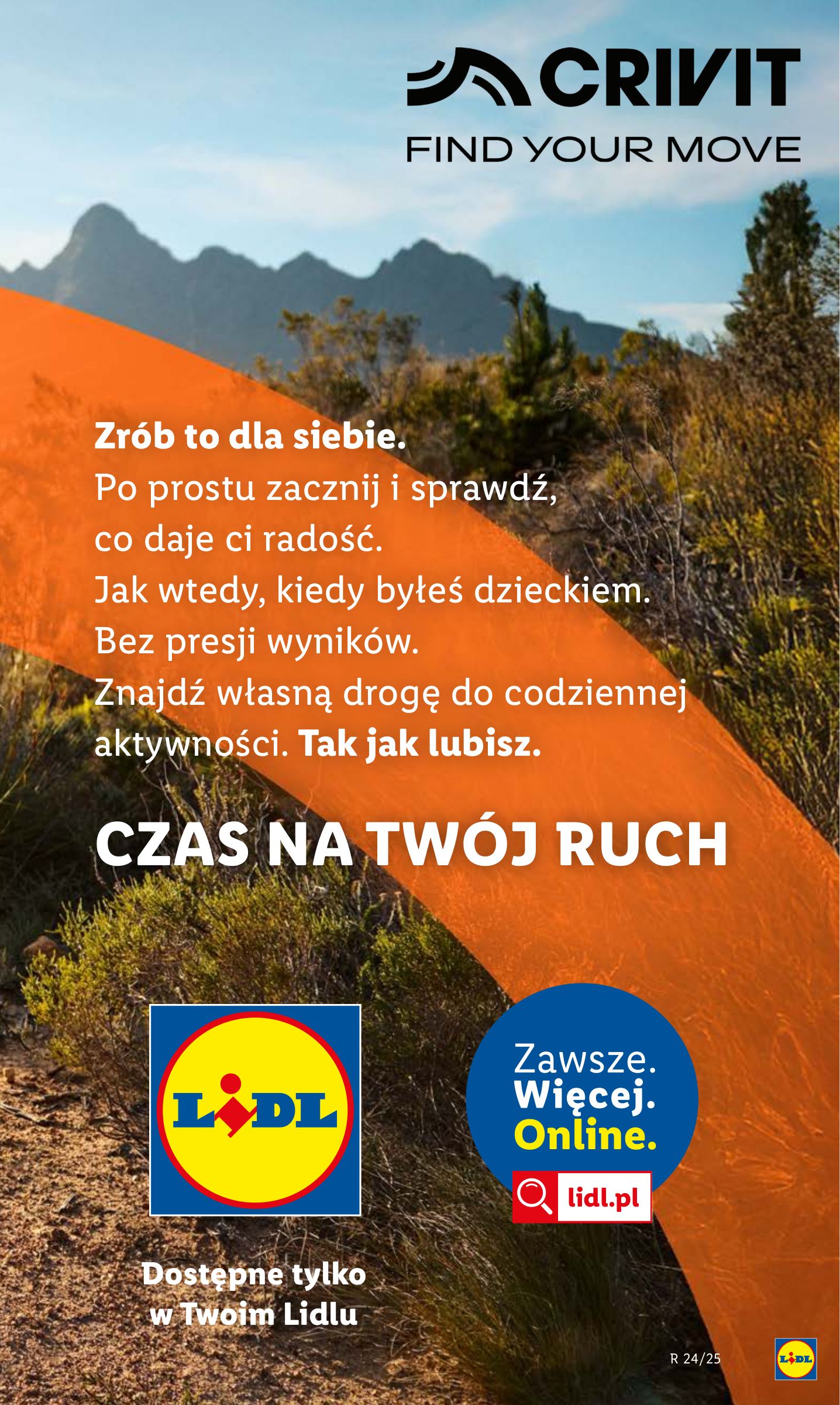 lidl - Lidl - Katalog Okazji gazetka ważna od 09.06. - 14.06. - page: 13