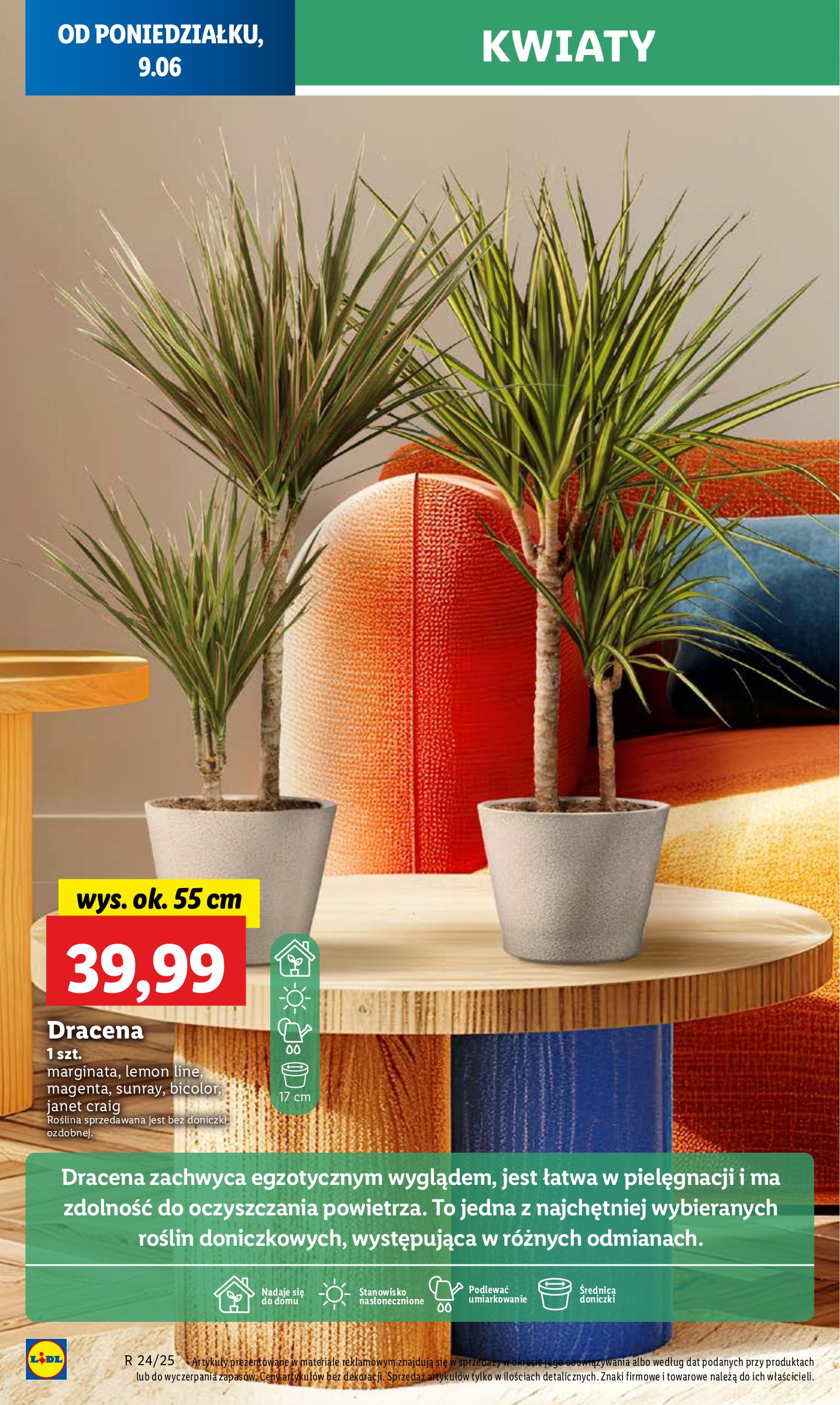 lidl - Gazetka Lidl ważna od 09.06. - 11.06. - page: 64 lidl - Gazetka Lidl ważna od 09.06. - 11.06. - page: 64