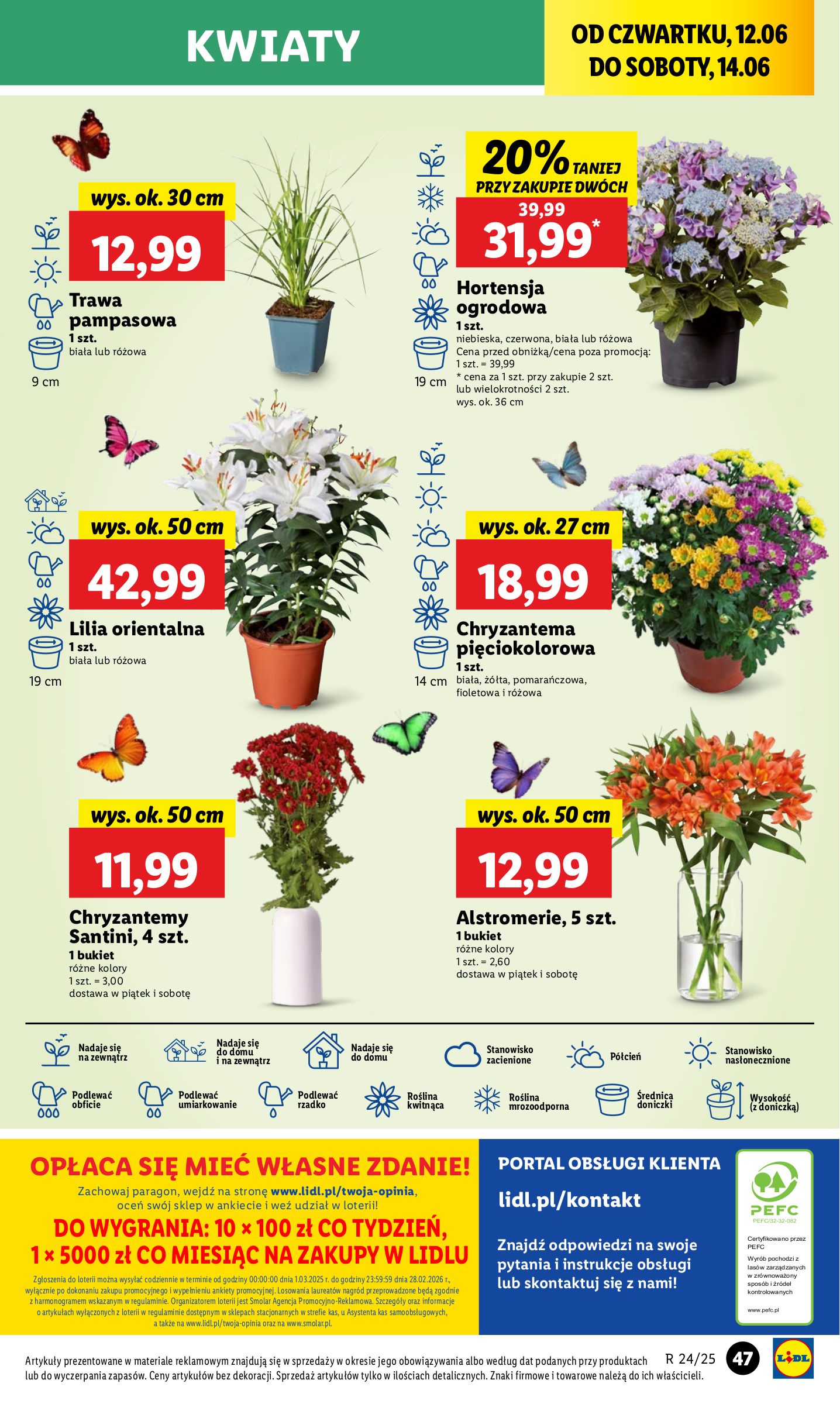 lidl - Gazetka Lidl ważna od 12.06. - 14.06. - page: 57 lidl - Gazetka Lidl ważna od 12.06. - 14.06. - page: 57