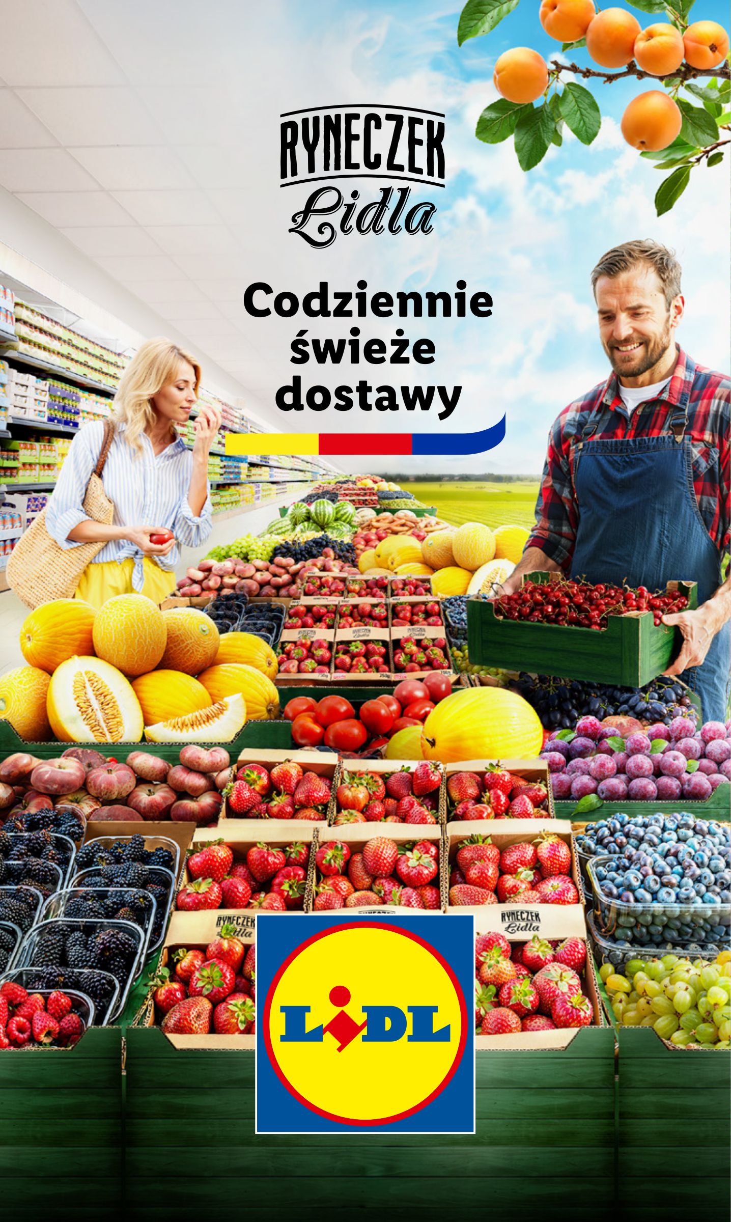 lidl - Gazetka Lidl ważna od 21.07. - 23.07. - page: 15 lidl - Gazetka Lidl ważna od 21.07. - 23.07. - page: 15