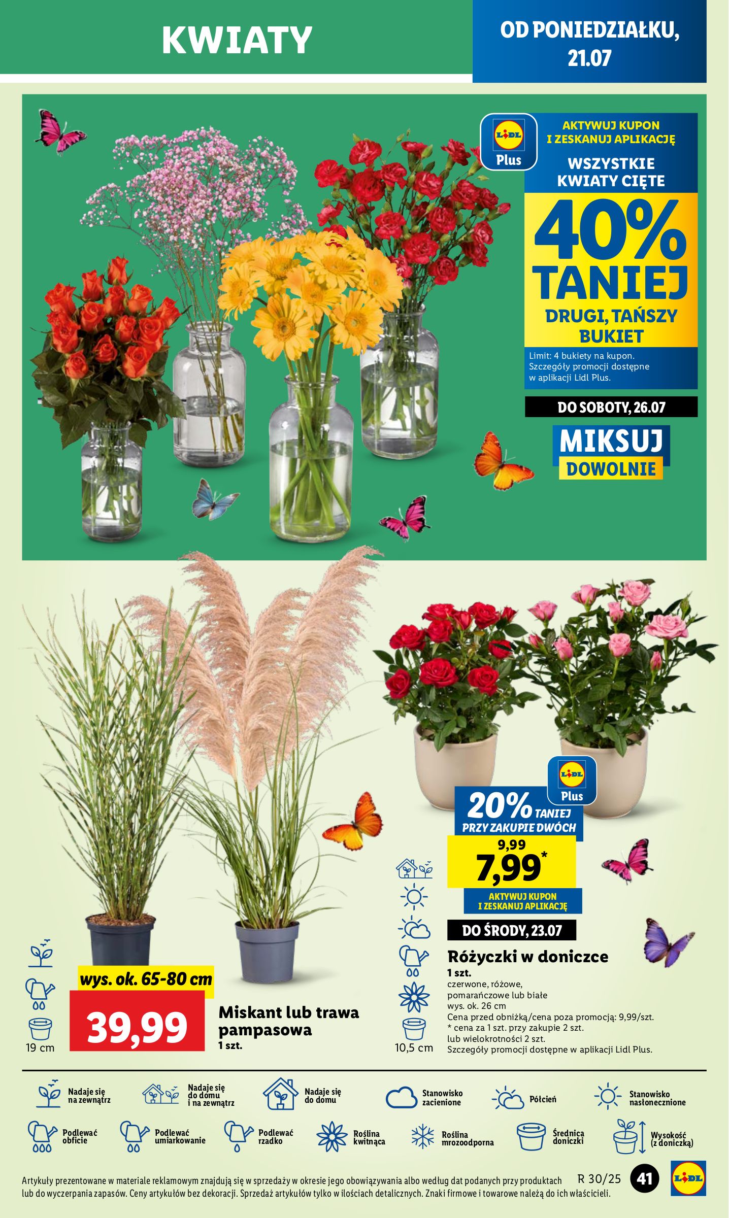 lidl - Gazetka Lidl ważna od 21.07. - 23.07. - page: 51 lidl - Gazetka Lidl ważna od 21.07. - 23.07. - page: 51