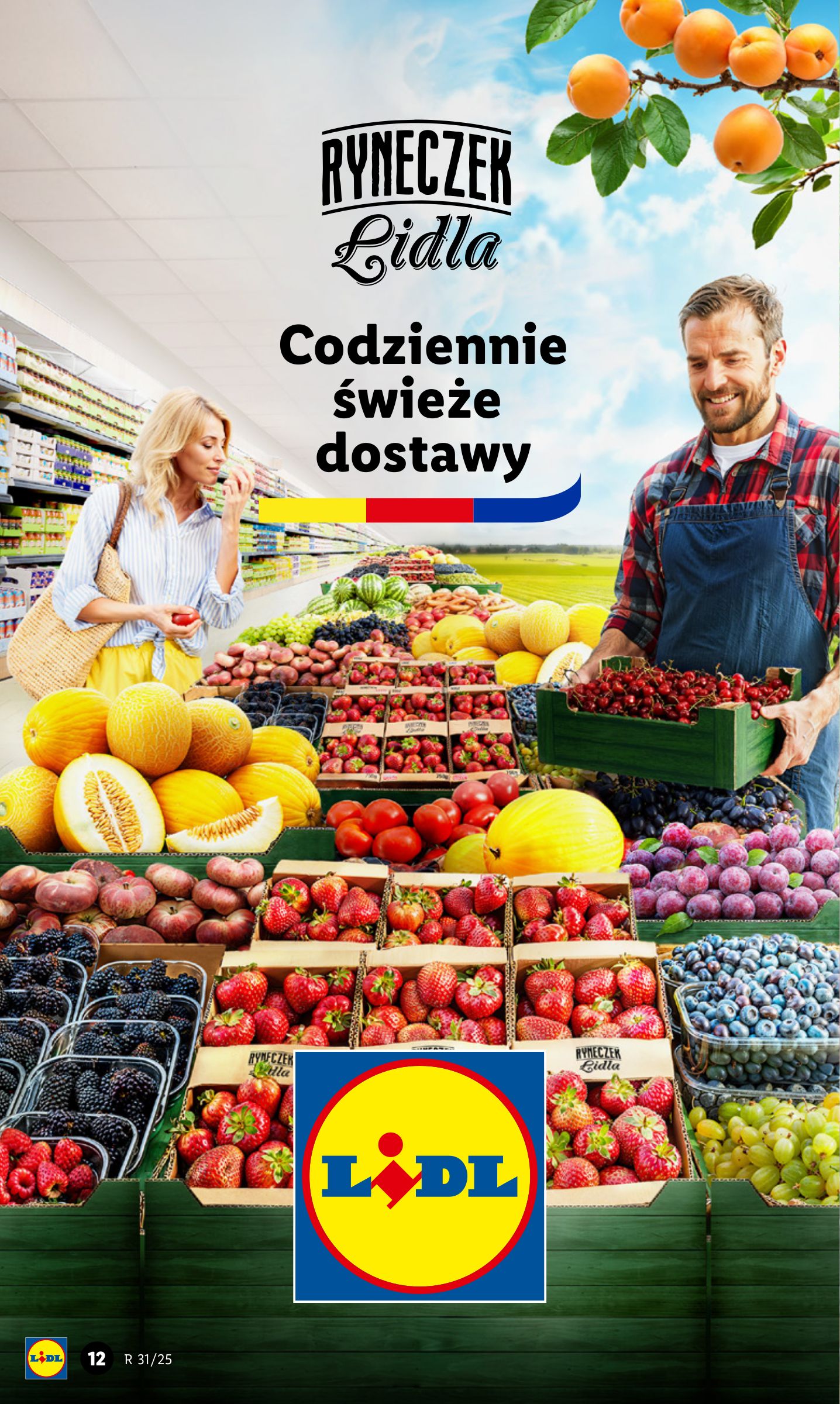 lidl - Gazetka Lidl ważna od 28.07. - 30.07. - page: 14 lidl - Gazetka Lidl ważna od 28.07. - 30.07. - page: 14