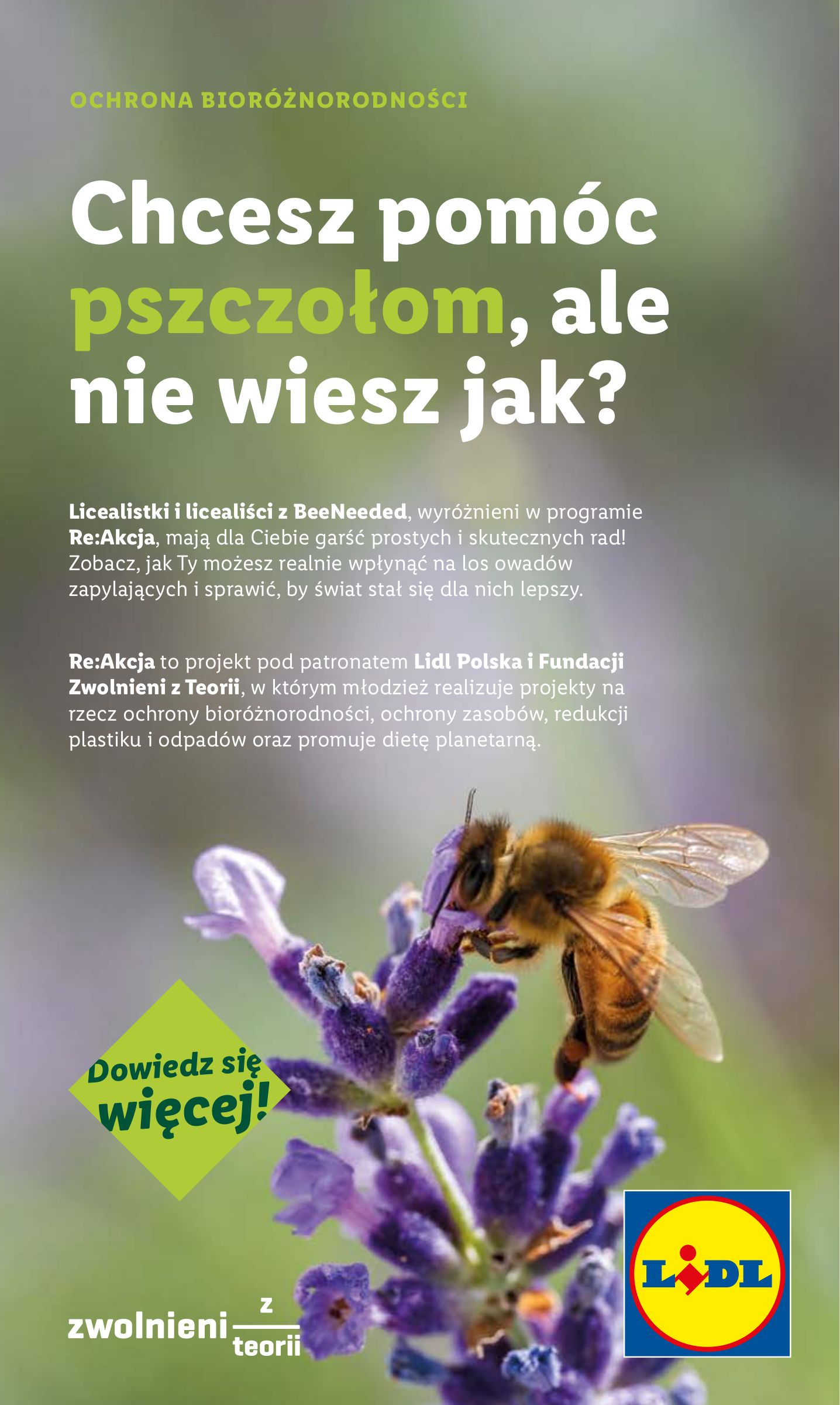 lidl - Gazetka Lidl ważna od 28.07. - 30.07. - page: 59 lidl - Gazetka Lidl ważna od 28.07. - 30.07. - page: 59