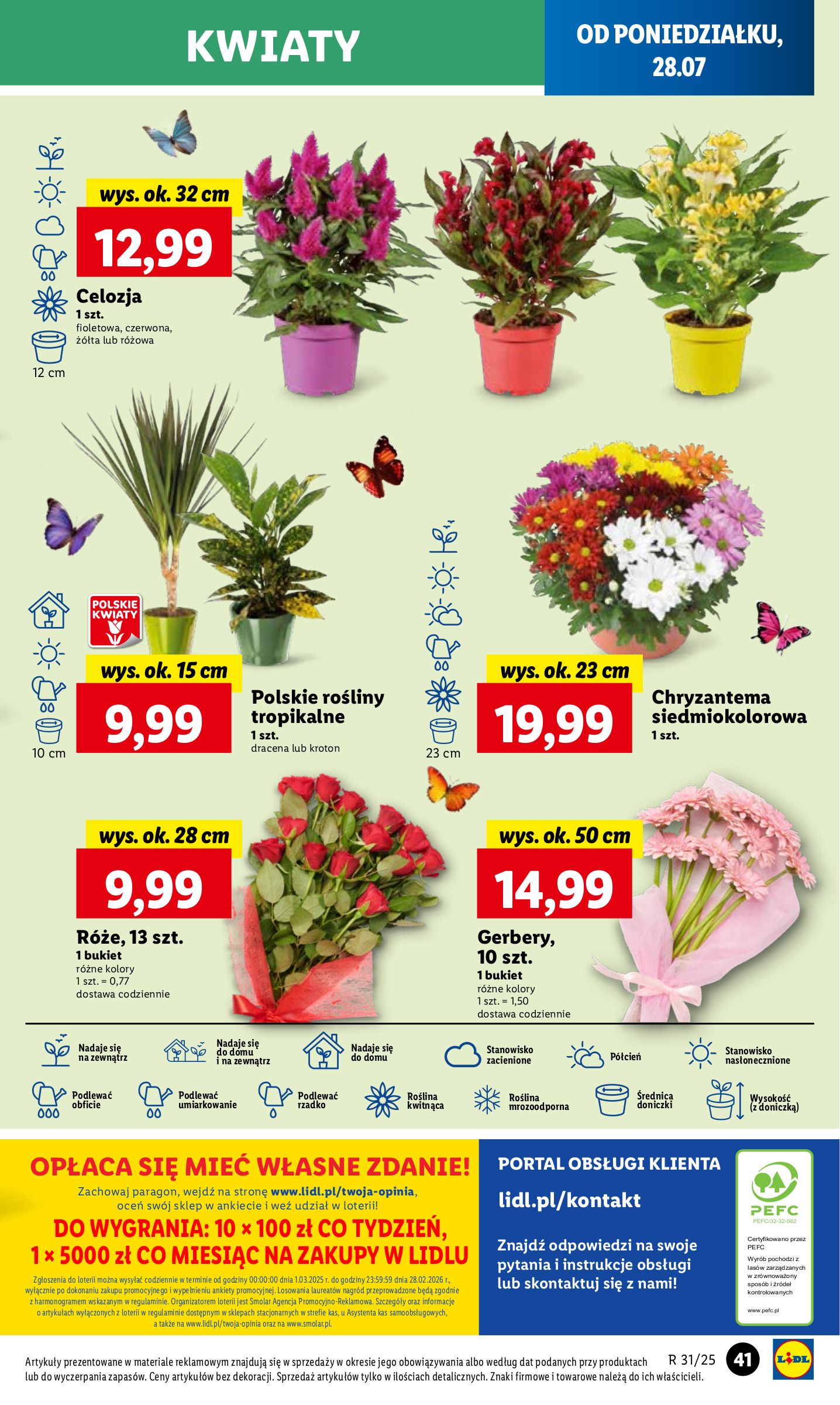lidl - Gazetka Lidl ważna od 28.07. - 30.07. - page: 49 lidl - Gazetka Lidl ważna od 28.07. - 30.07. - page: 49
