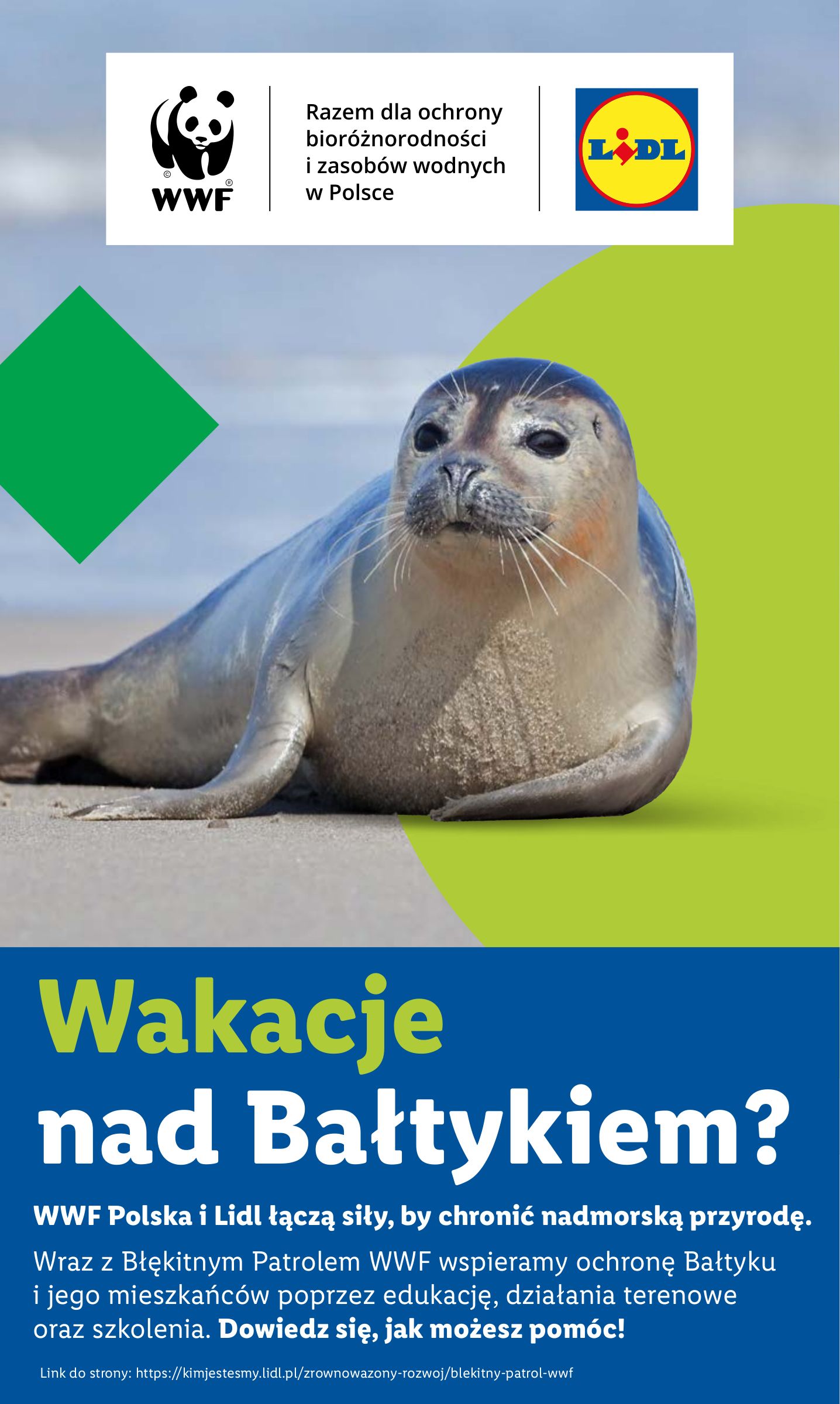 lidl - Gazetka Lidl ważna od 28.07. - 30.07. - page: 60 lidl - Gazetka Lidl ważna od 28.07. - 30.07. - page: 60