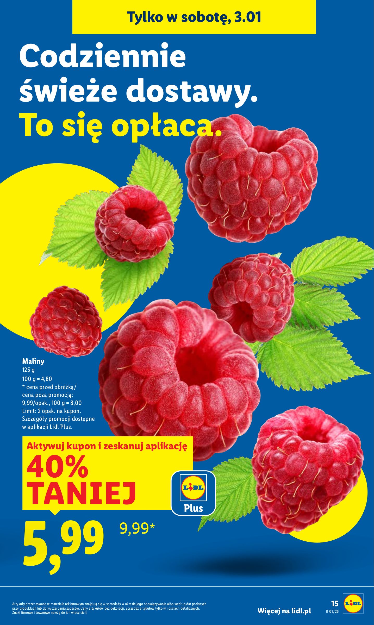 lidl - Gazetka Lidl - ważna od 02.01. do 03.01. - page: 17