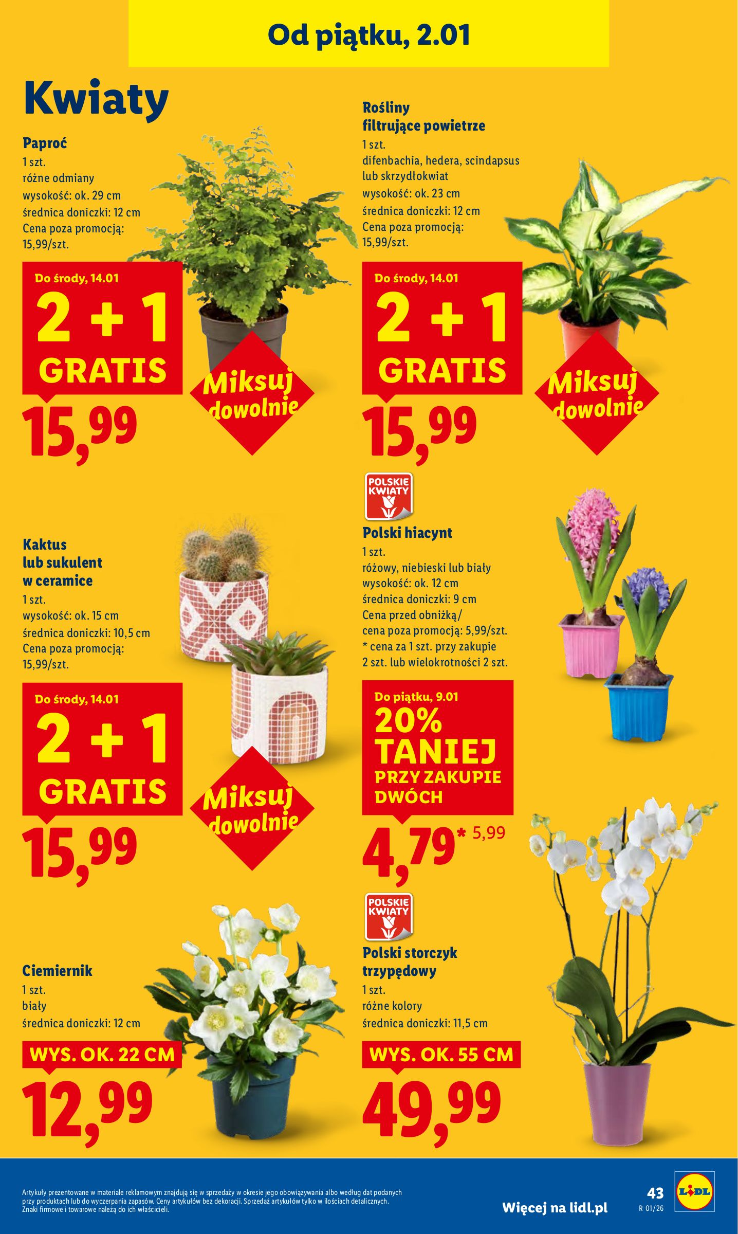 lidl - Gazetka Lidl - ważna od 02.01. do 03.01. - page: 45