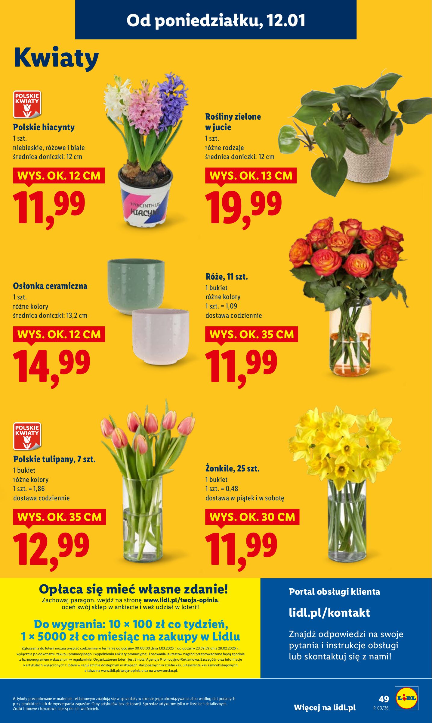 lidl - Gazetka Lidl - ważna od 12.01. do 14.01. - page: 49