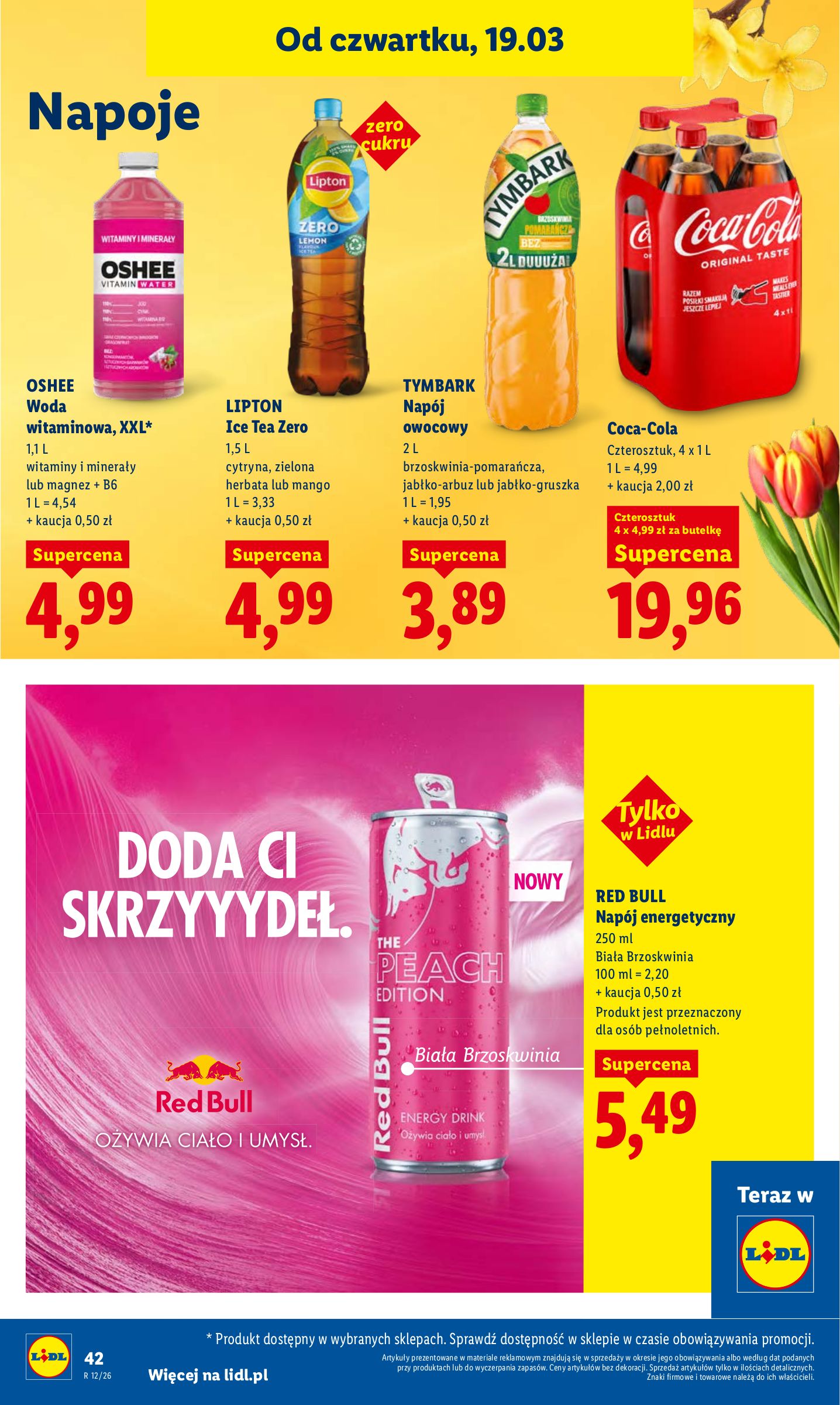 lidl - Gazetka Lidl - ważna od 19.03.2026 do 21.03.2026 - page: 42