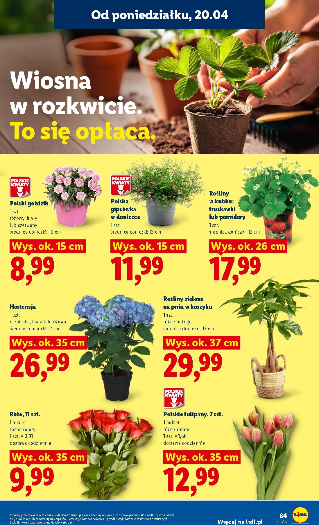lidl - Nowa gazetka Lidl ważna od 20.04.2026 do 22.04.2026 - page: 87