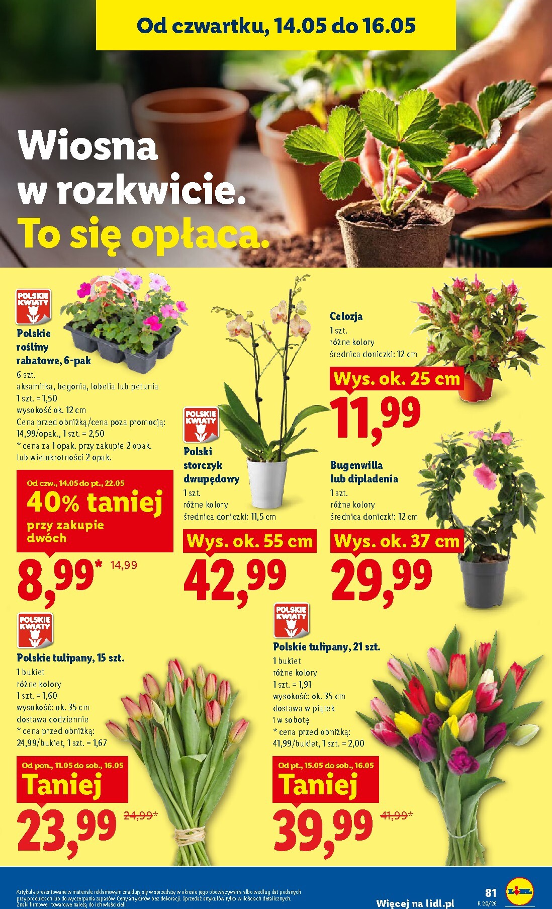 lidl - Nowa gazetka Lidl ważna od 14.05.2026 do 16.05.2026 - page: 87