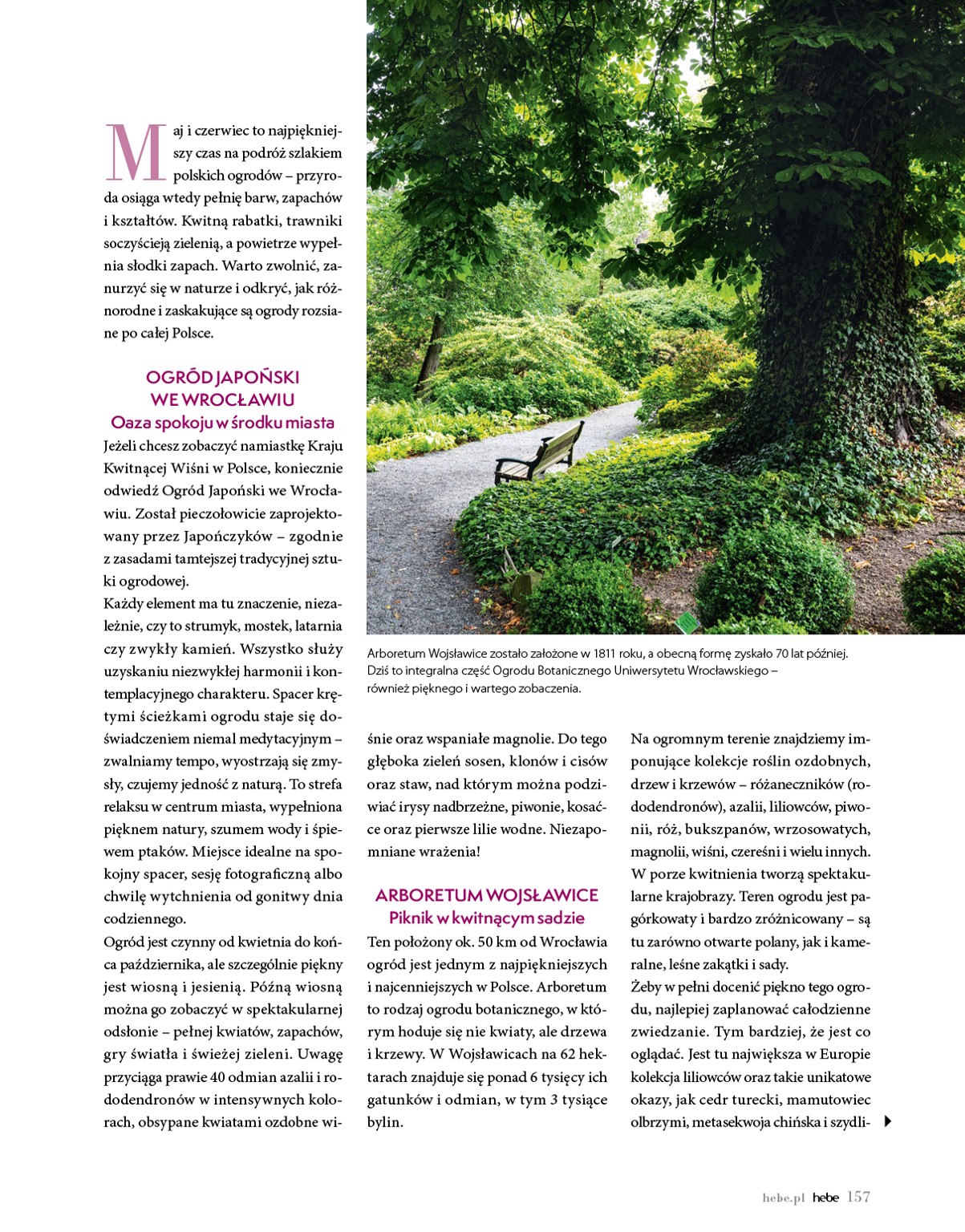 hebe - Aktualna gazetka Hebe - Magazyn ważna od 01.05.2026 do 30.06.2026 - page: 157