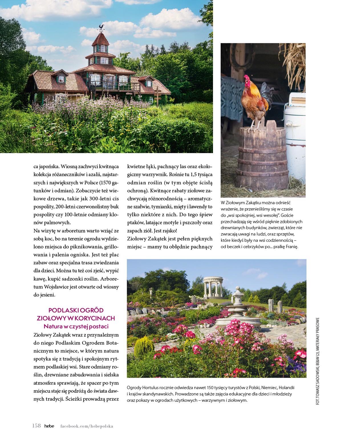 hebe - Aktualna gazetka Hebe - Magazyn ważna od 01.05.2026 do 30.06.2026 - page: 158