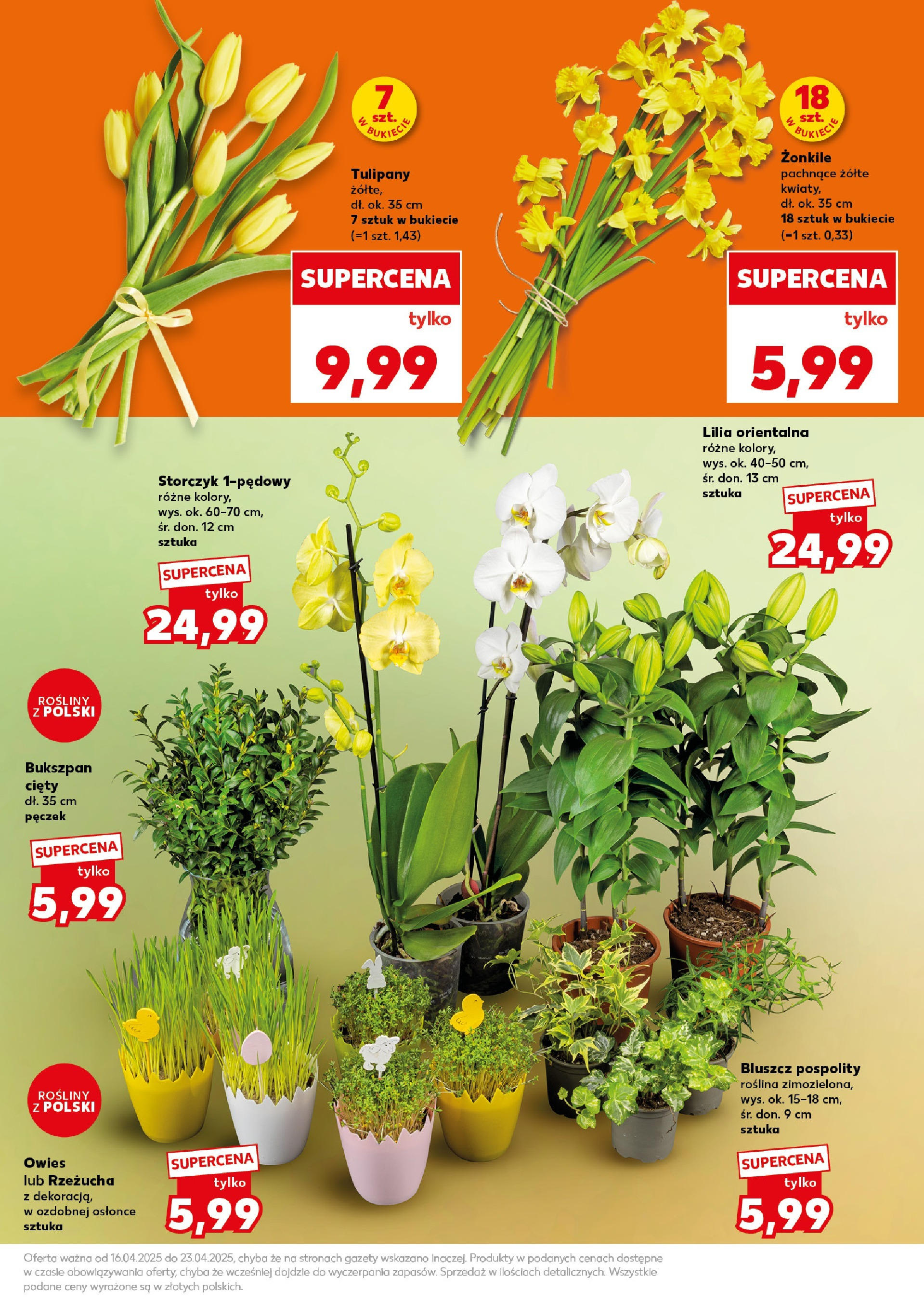 kaufland - Kaufland - Super Sobota gazetka ważna od 18.04. - 19.04. - page: 11