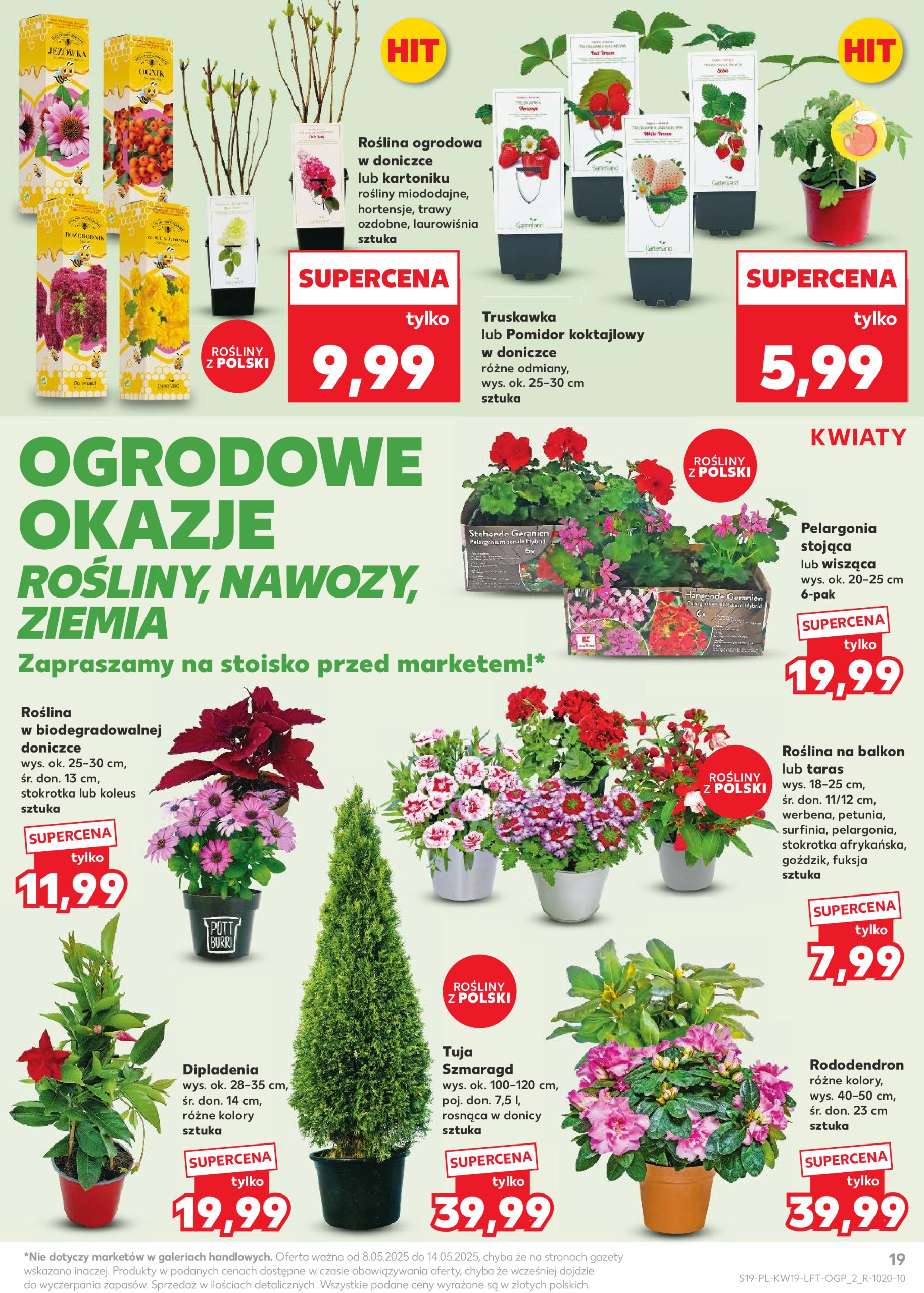 kaufland - Kaufland gazetka ważna od 08.05. - 14.05. - page: 19 kaufland - Kaufland gazetka ważna od 08.05. - 14.05. - page: 19
