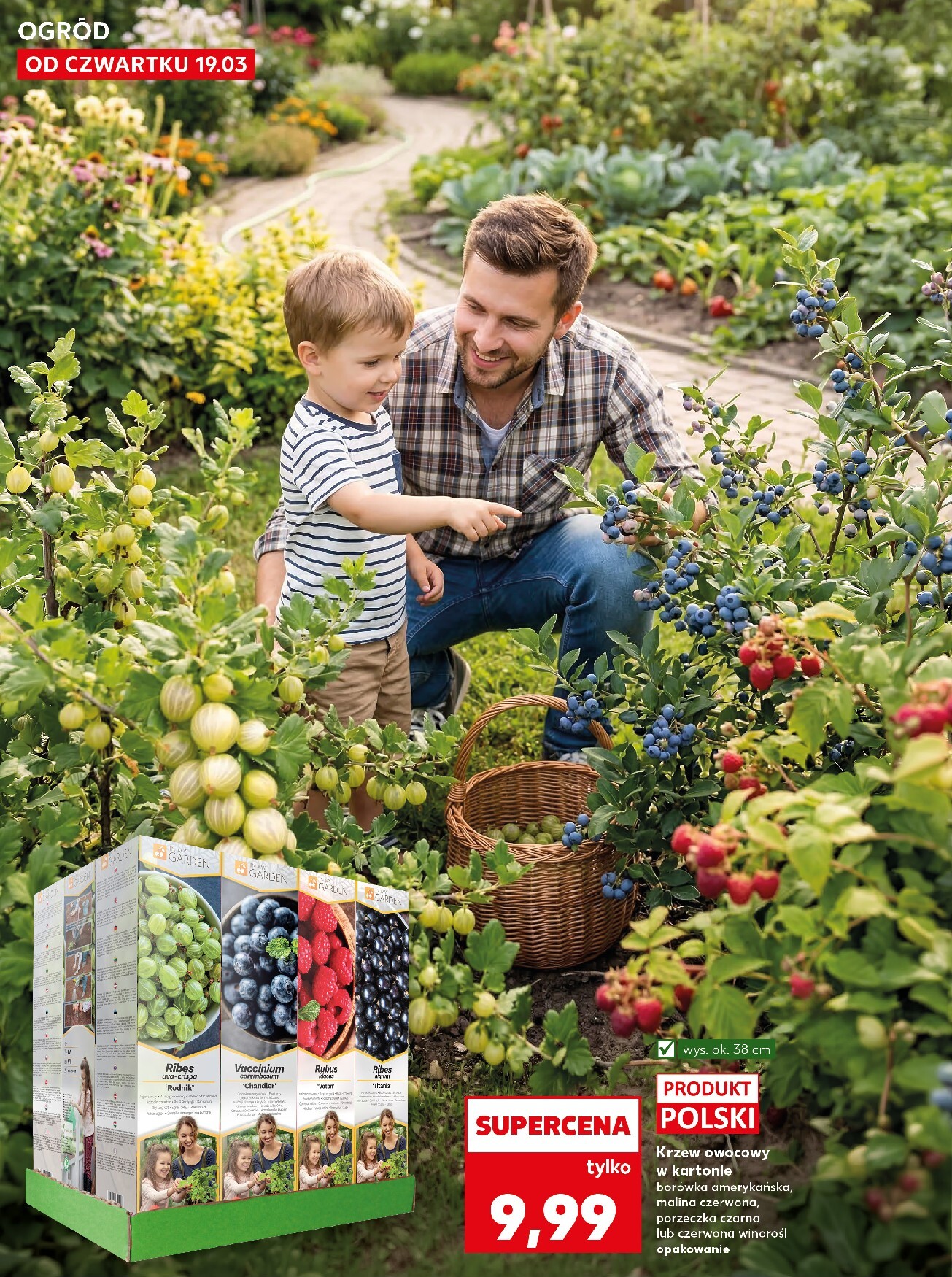 kaufland - Gazetka Kaufland - Ogród - ważna od 19.03.2026 do 25.03.2026 - page: 10