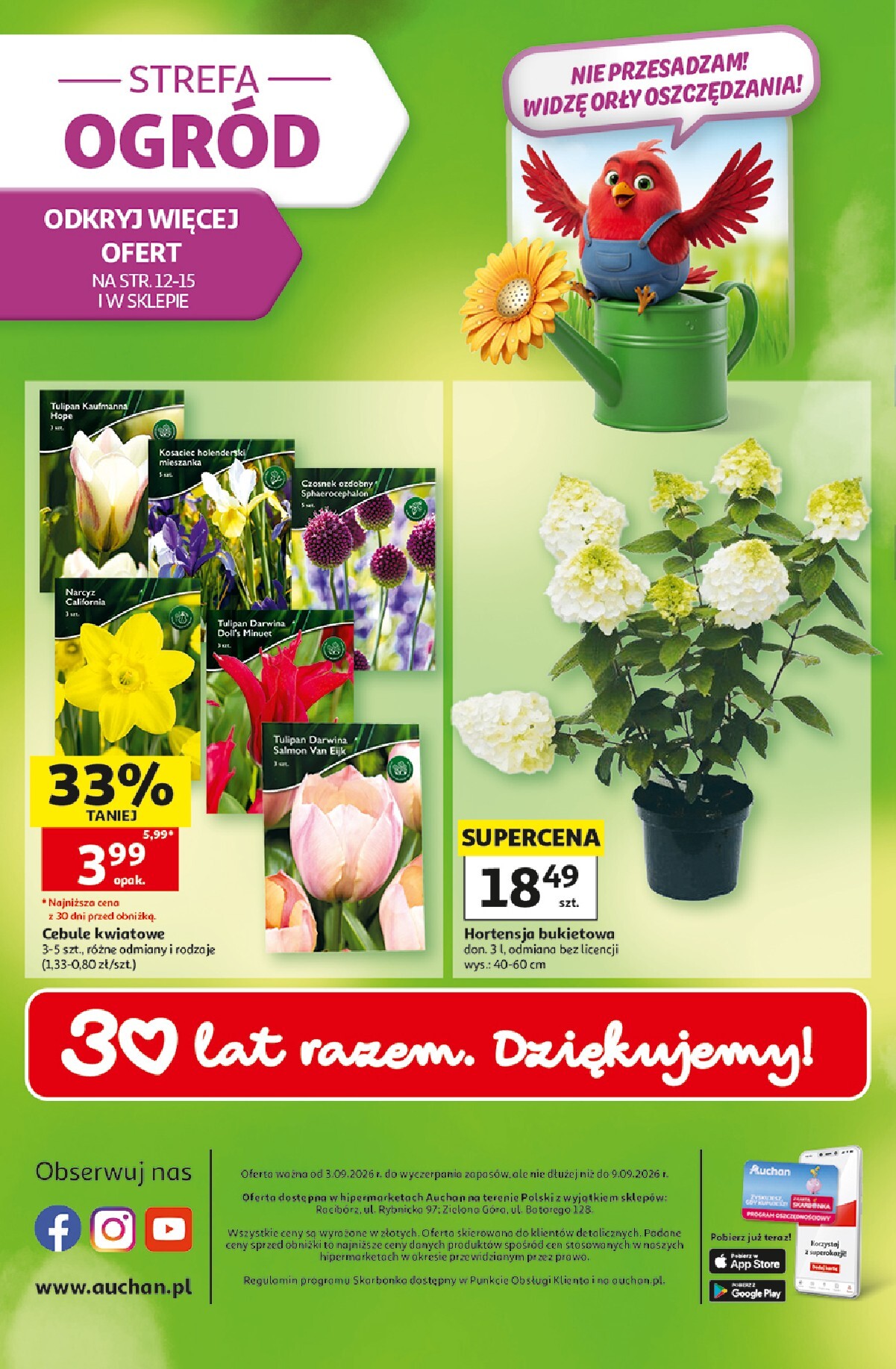 auchan - Nowa gazetka Hipermarket Auchan ważna od 03.09.2026 do 09.09.2026 - page: 49